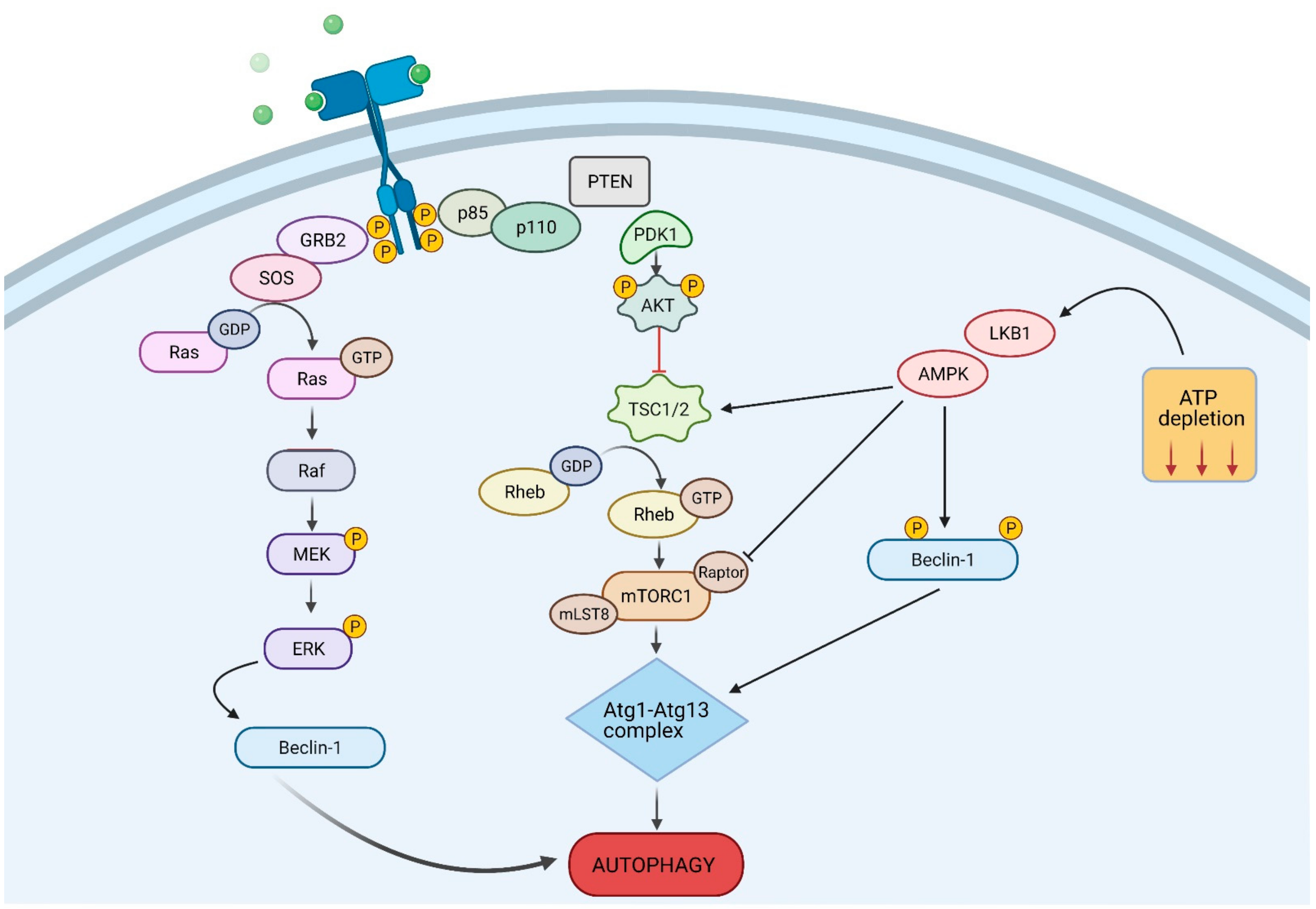 Cancers 13 01211 g002