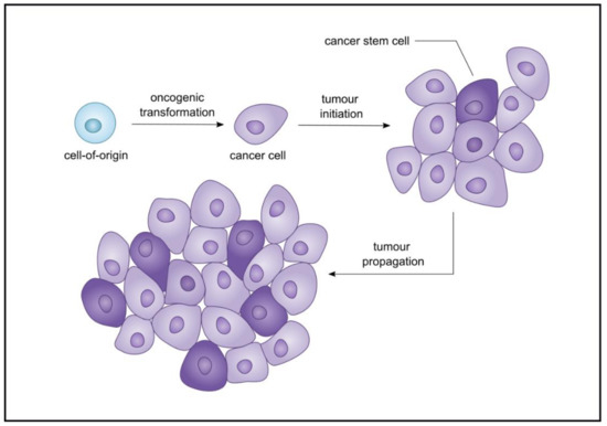 Cancers | Free Full-Text | The Role of Autophagy and lncRNAs in the ...