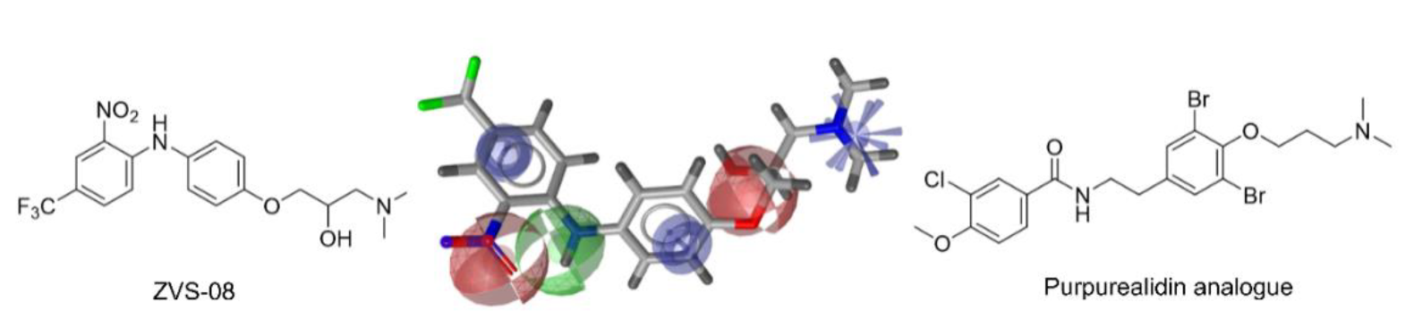 Cancers 13 01244 g008