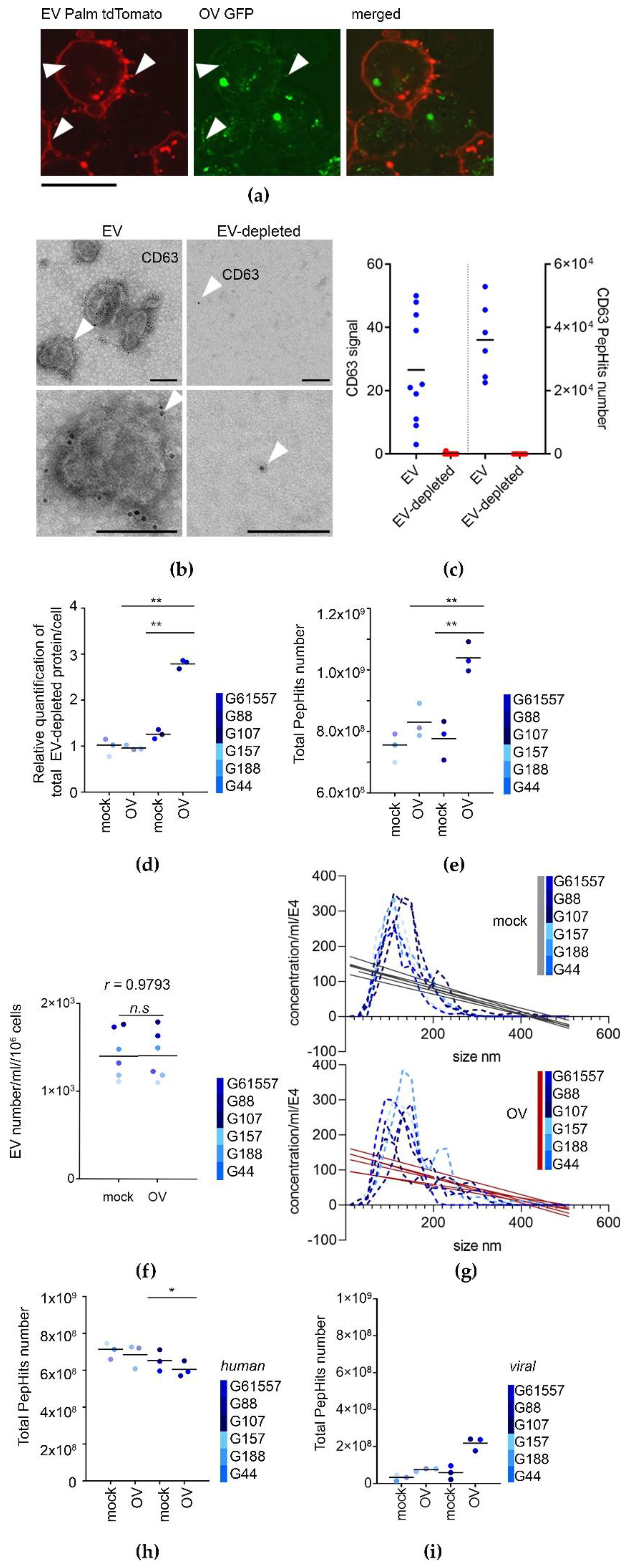 Cancers 13 01287 g002