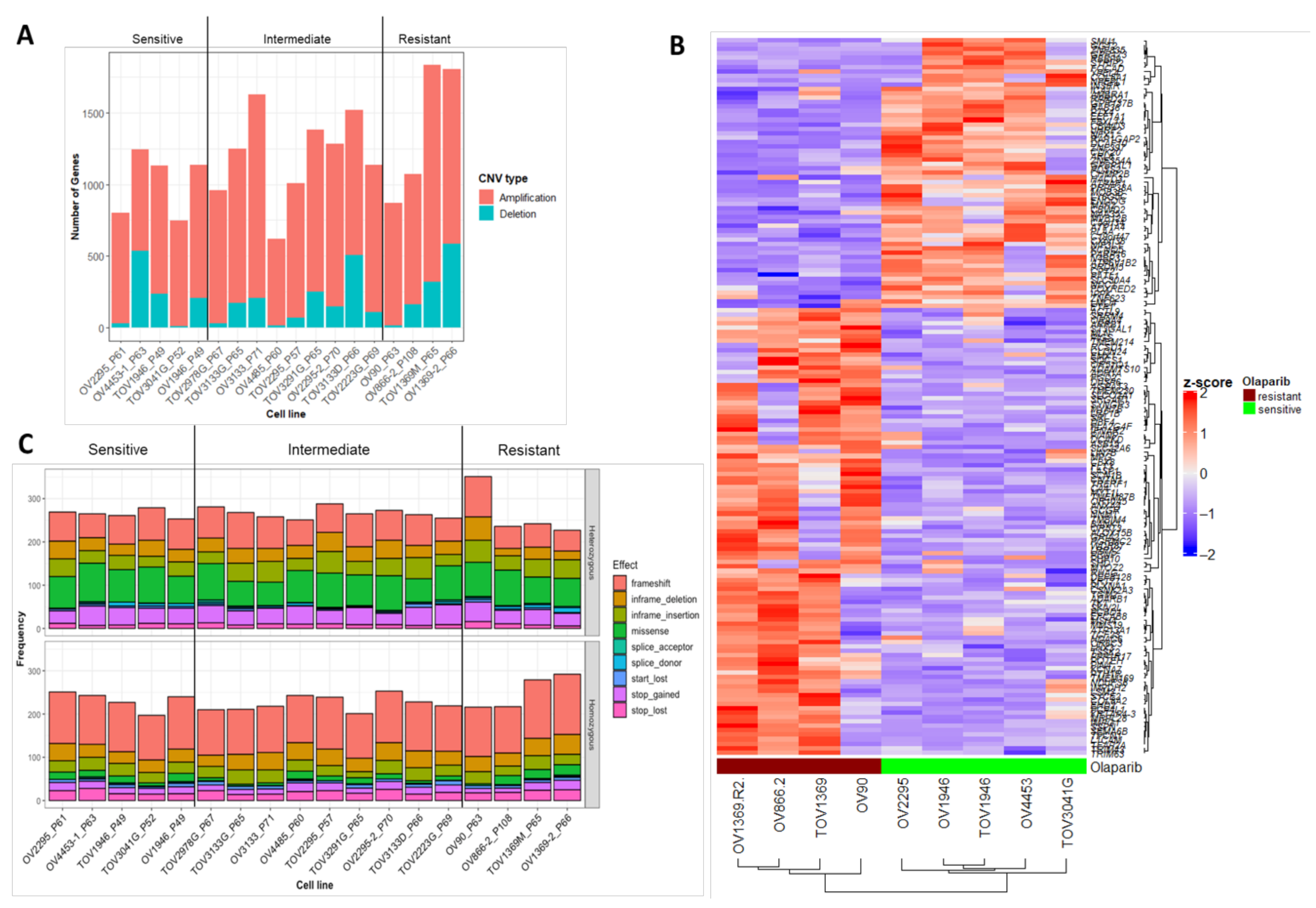 Cancers 13 01296 g003