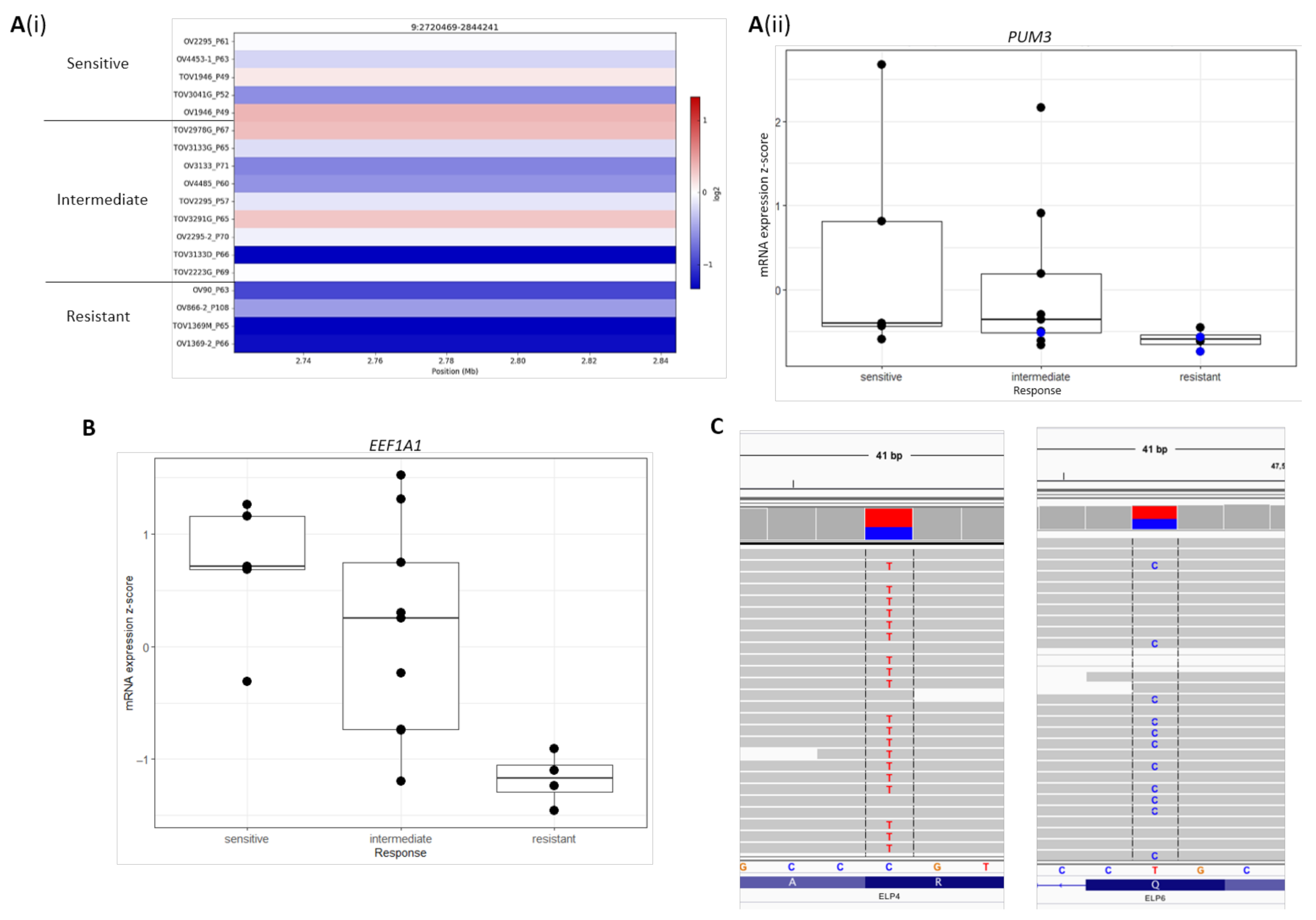 Cancers 13 01296 g005