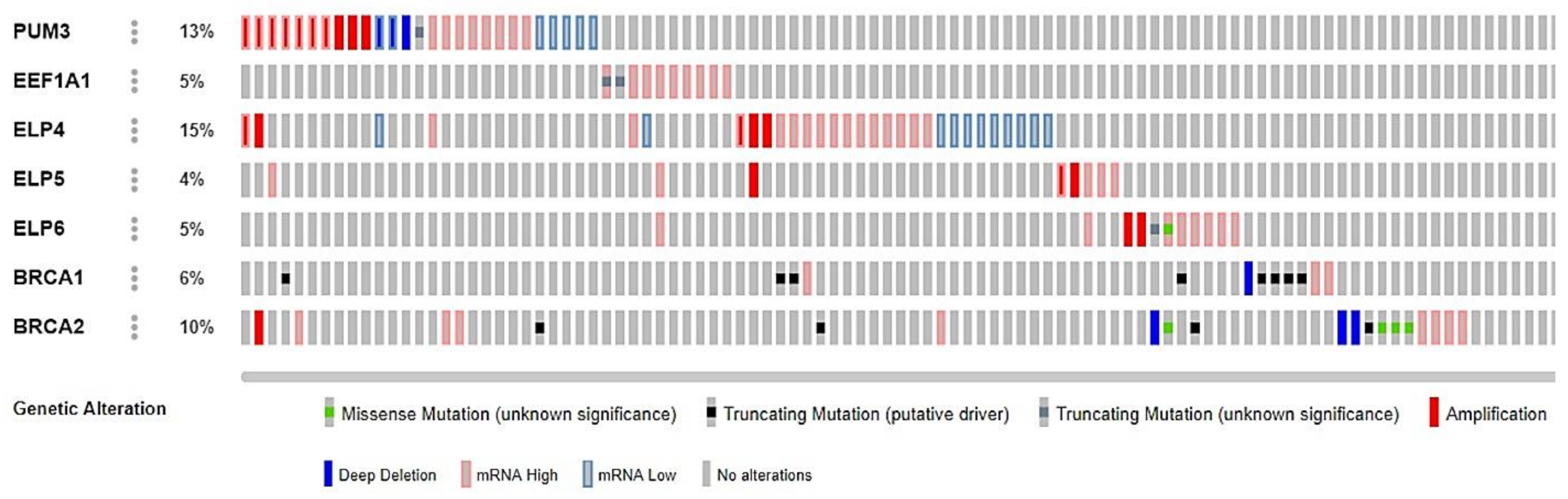 Cancers 13 01296 g006