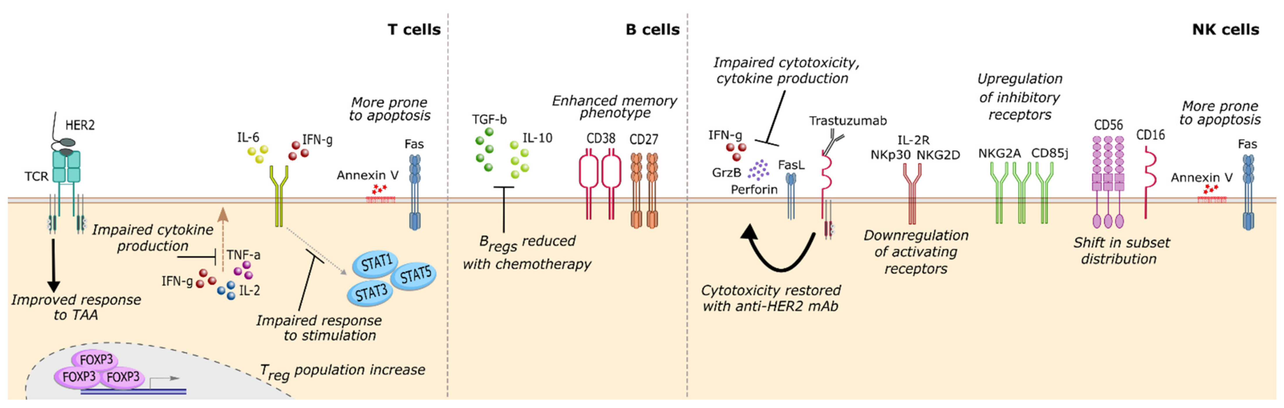 Cancers 13 01305 g001 Cancers 13 01305 g001