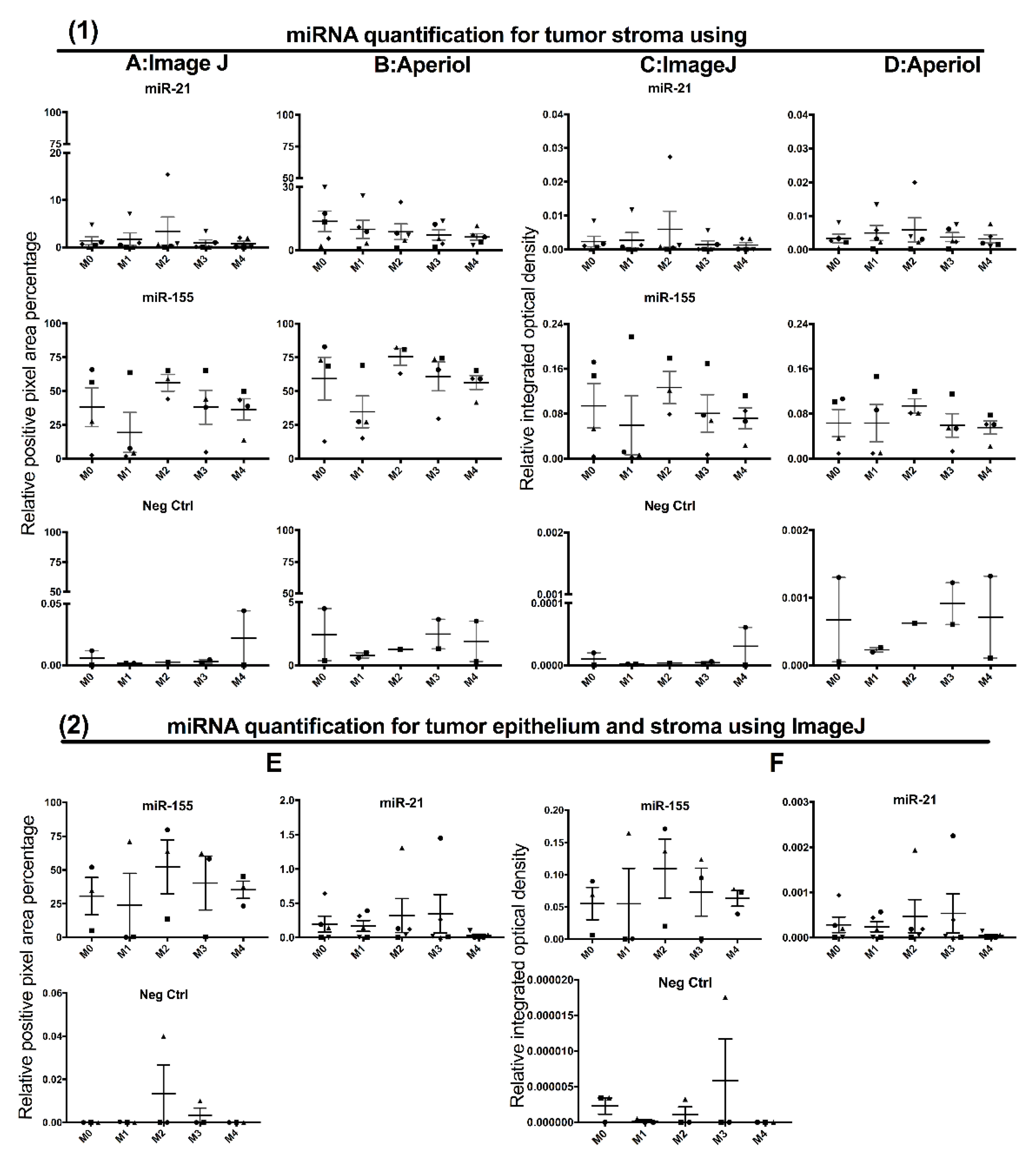 Cancers 13 01307 g006 Cancers 13 01307 g006