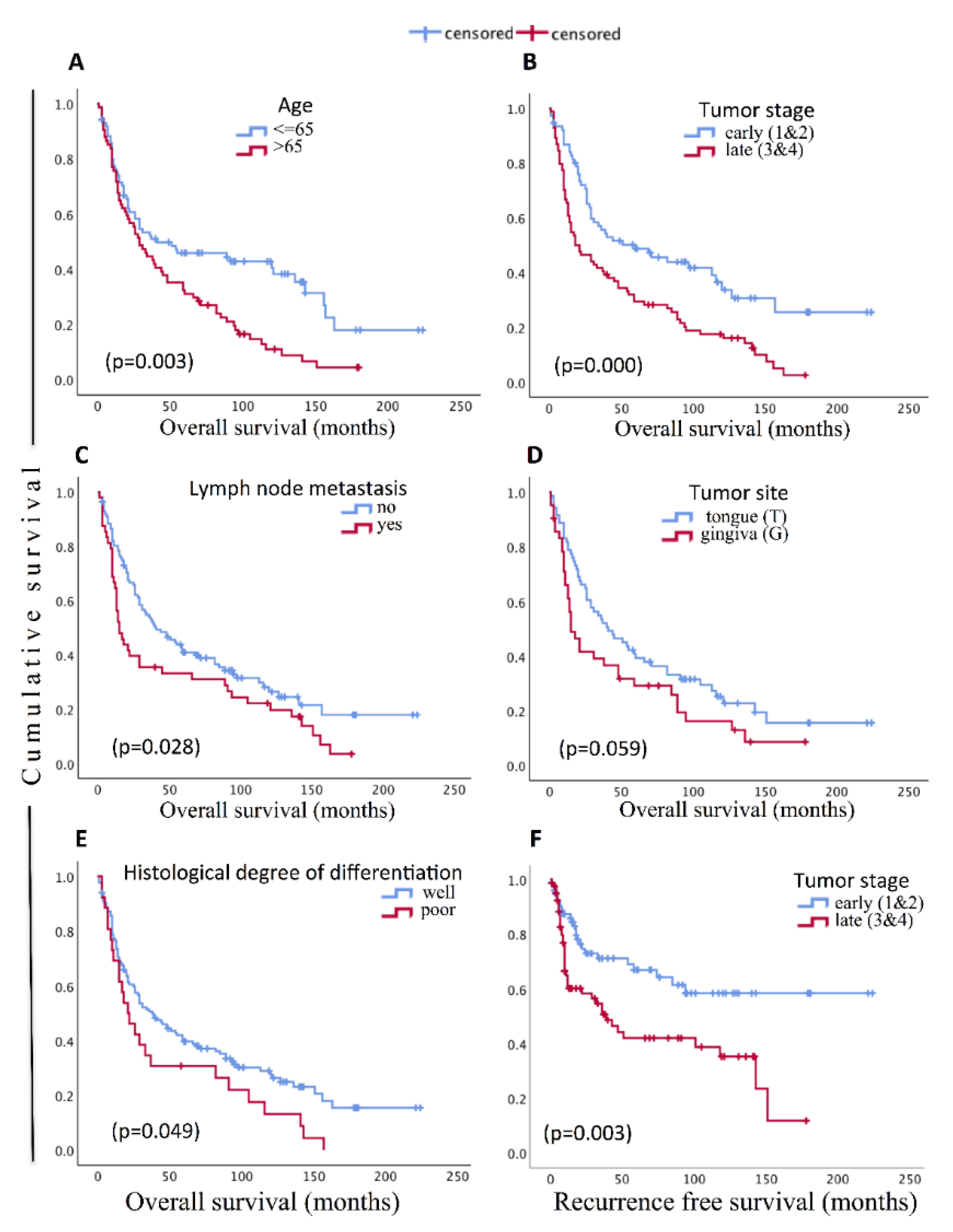Cancers 13 01307 g007 Cancers 13 01307 g007