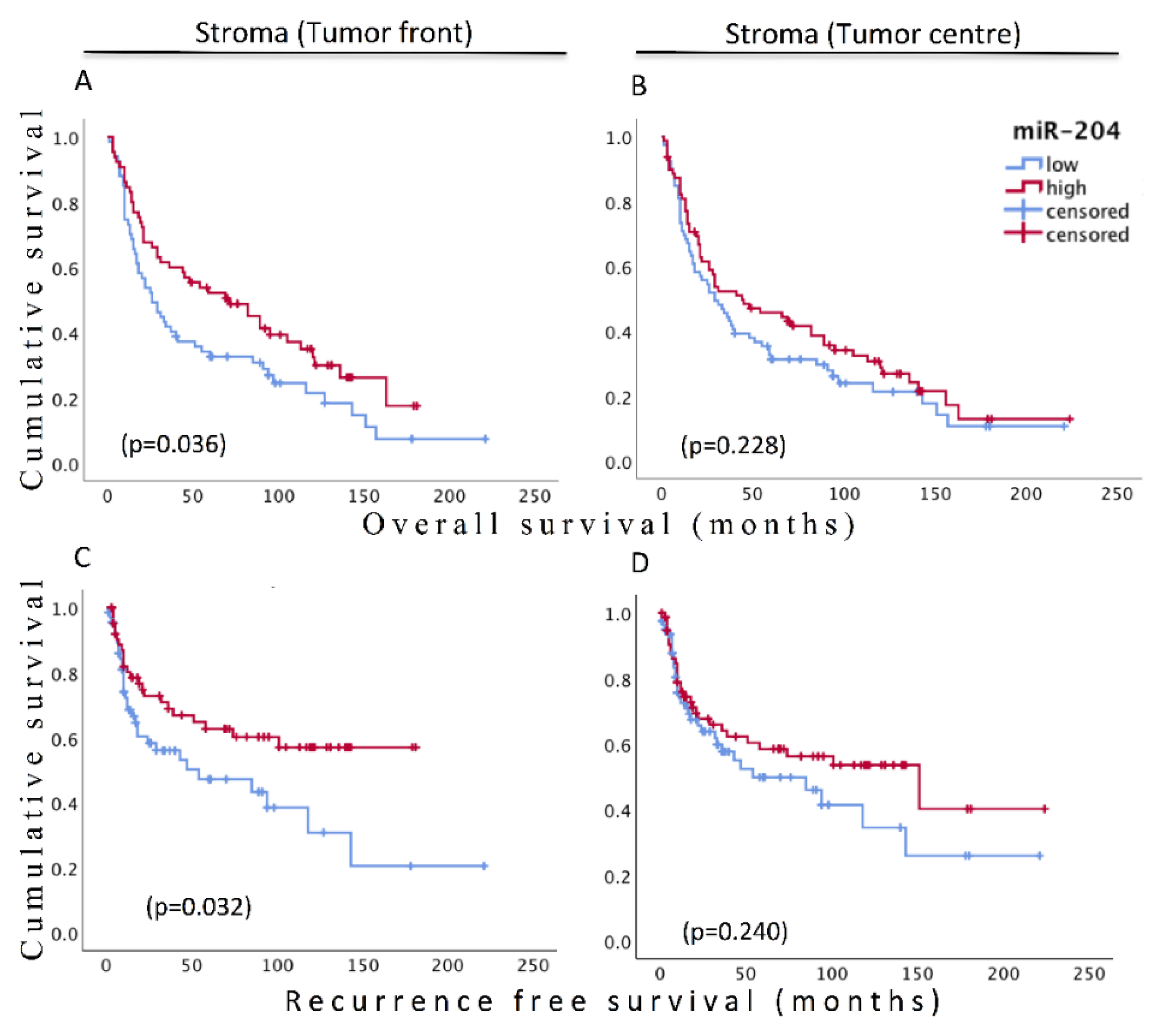 Cancers 13 01307 g008 Cancers 13 01307 g008