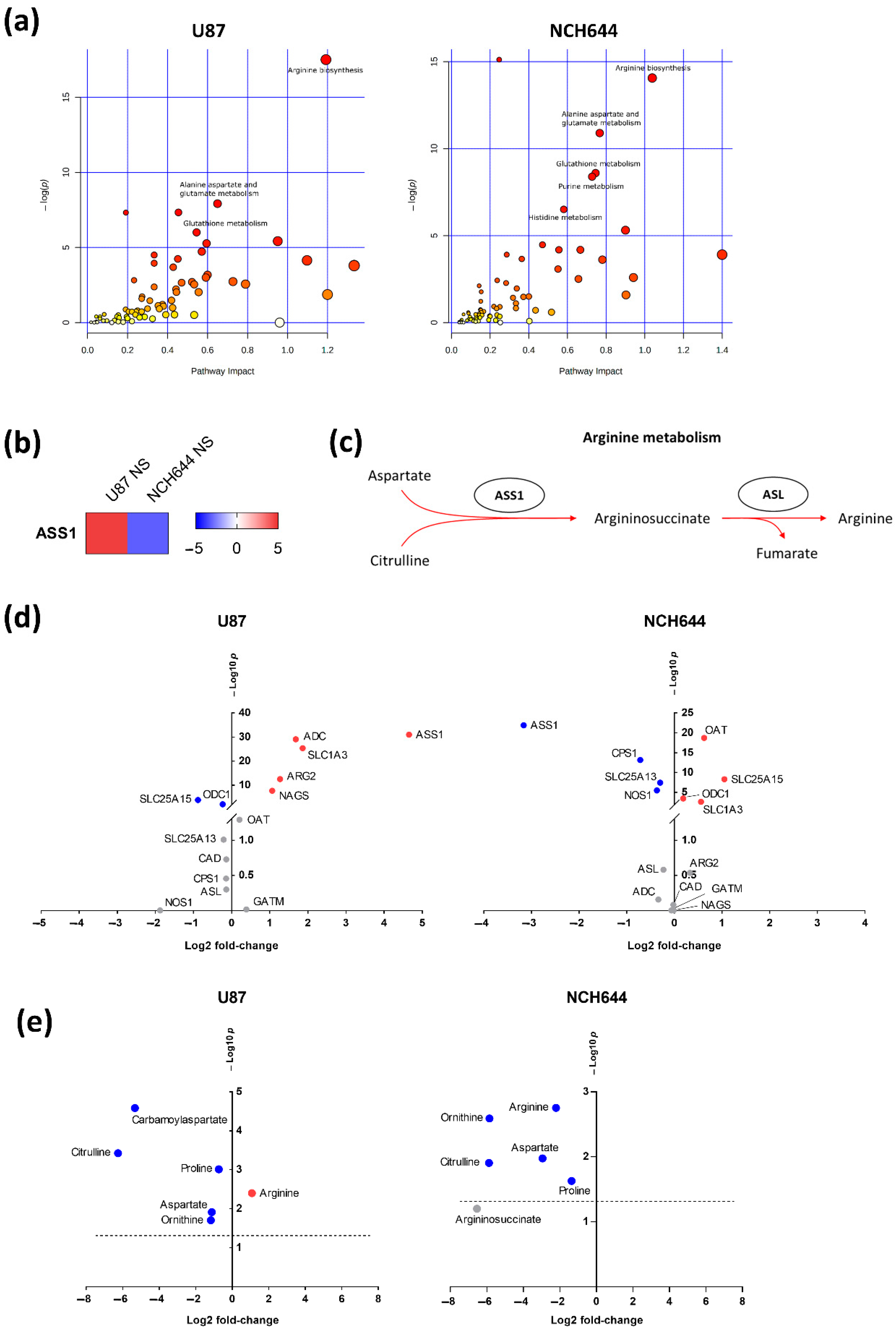 Cancers 13 01327 g005