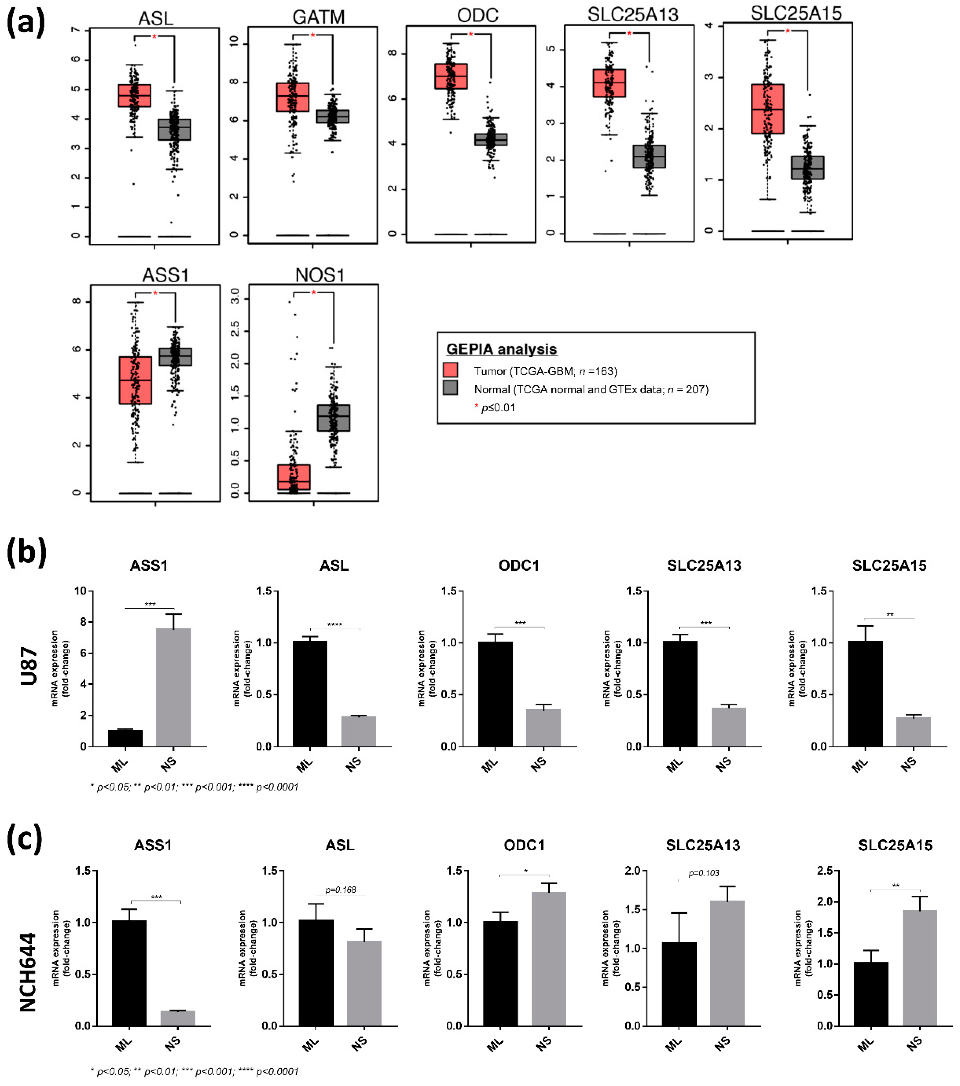 Cancers 13 01327 g006