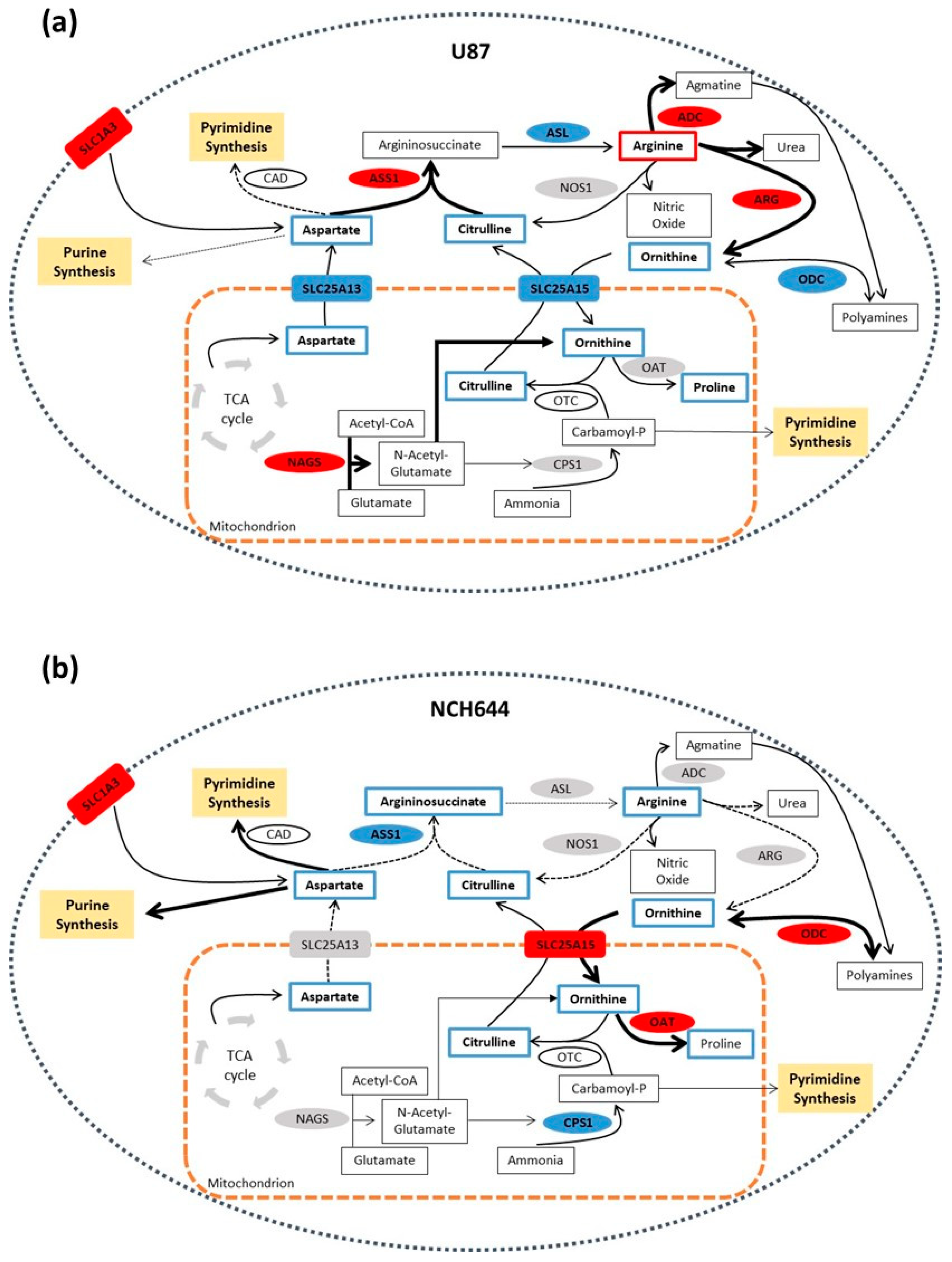 Cancers 13 01327 g007