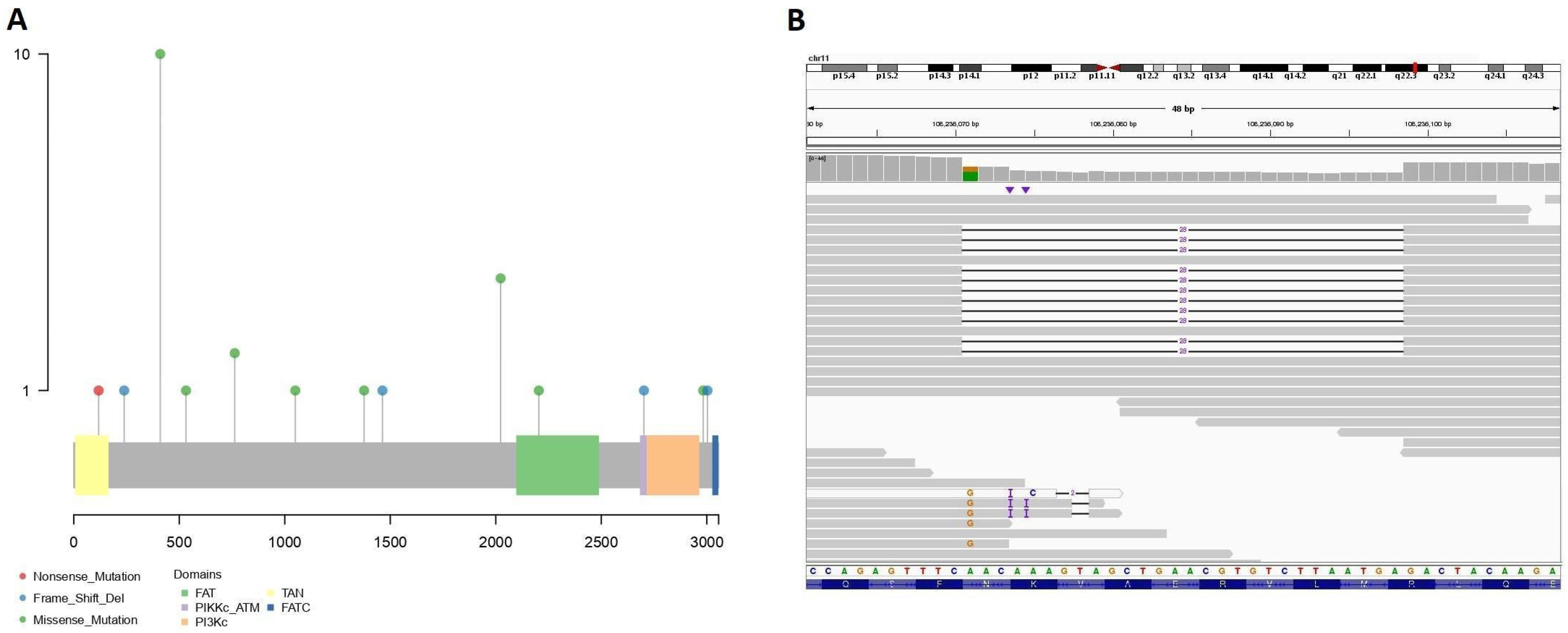 Cancers | Free Full-Text | Detection of Rare Germline Variants in the  Genomes of Patients with B-Cell Neoplasms | HTML