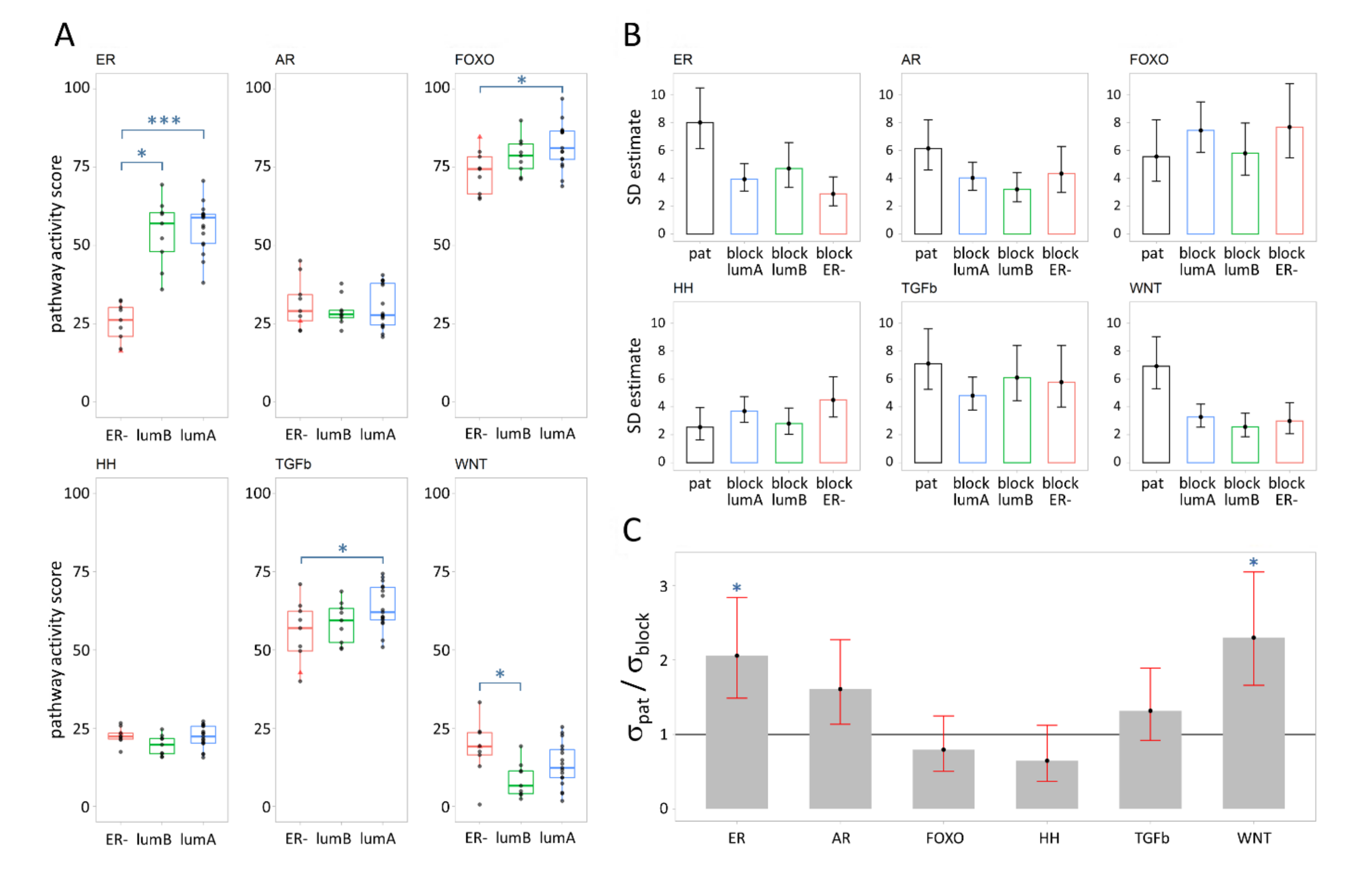 Cancers 13 01345 g003