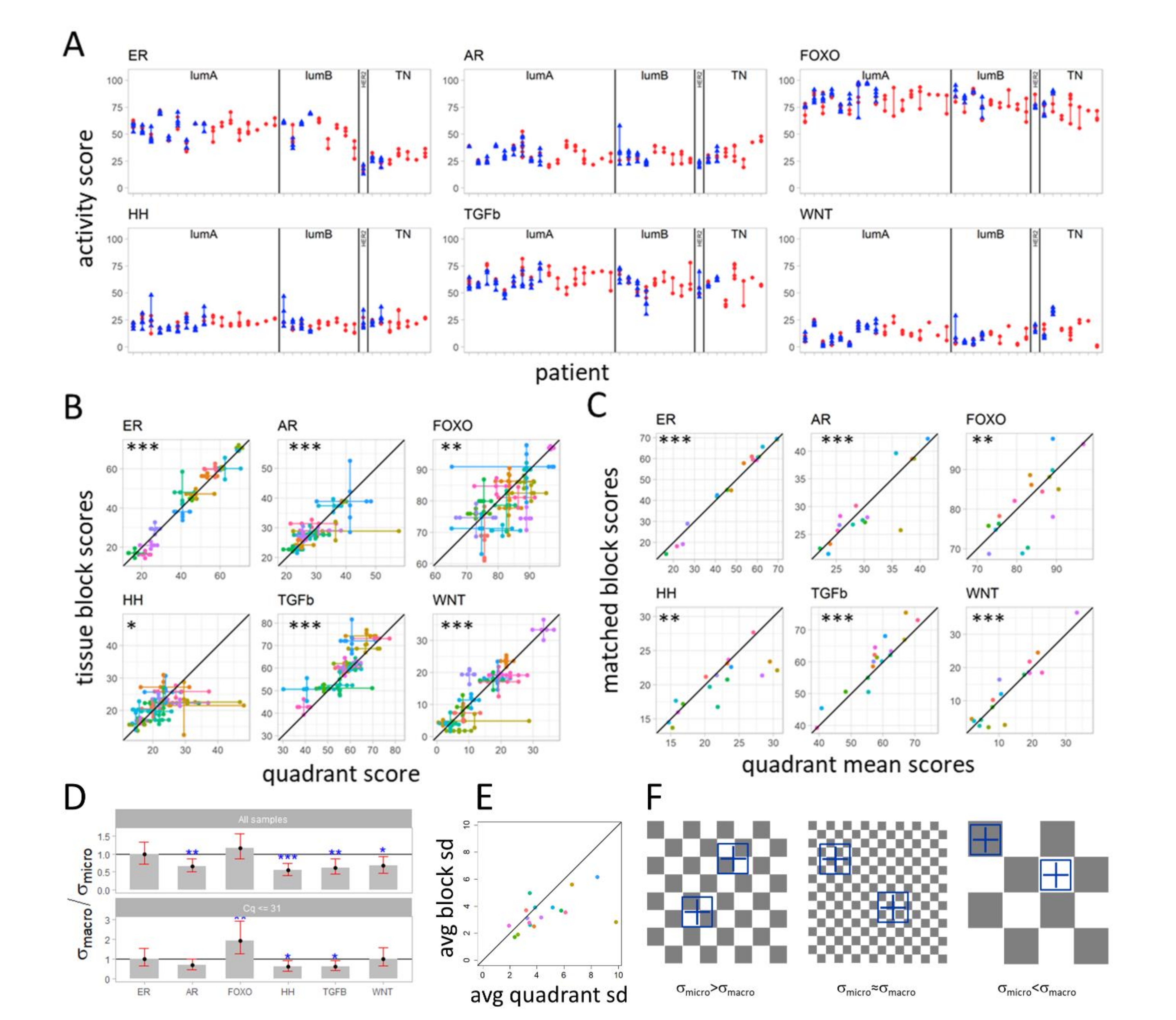 Cancers 13 01345 g004