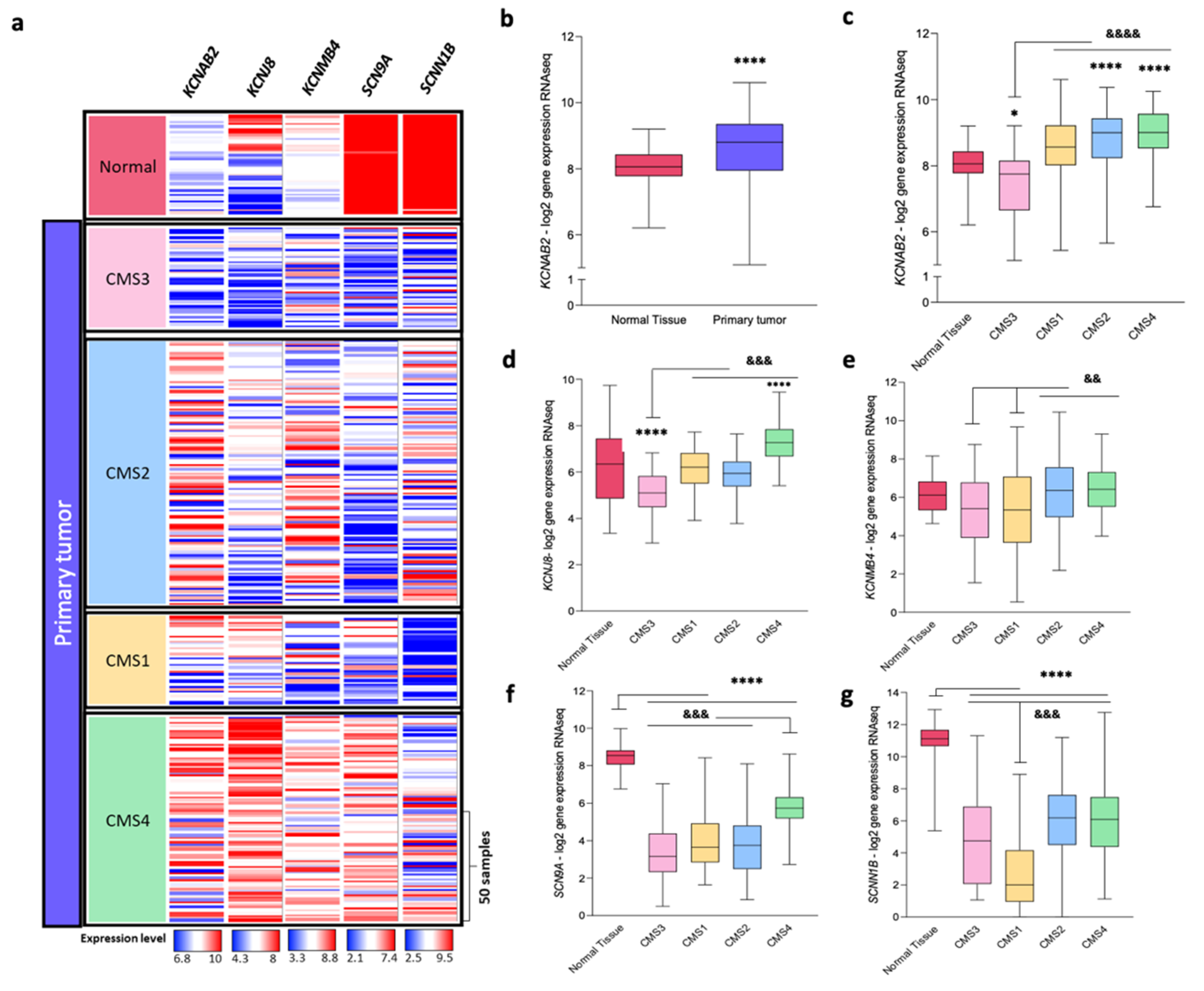 Cancers 13 01350 g009