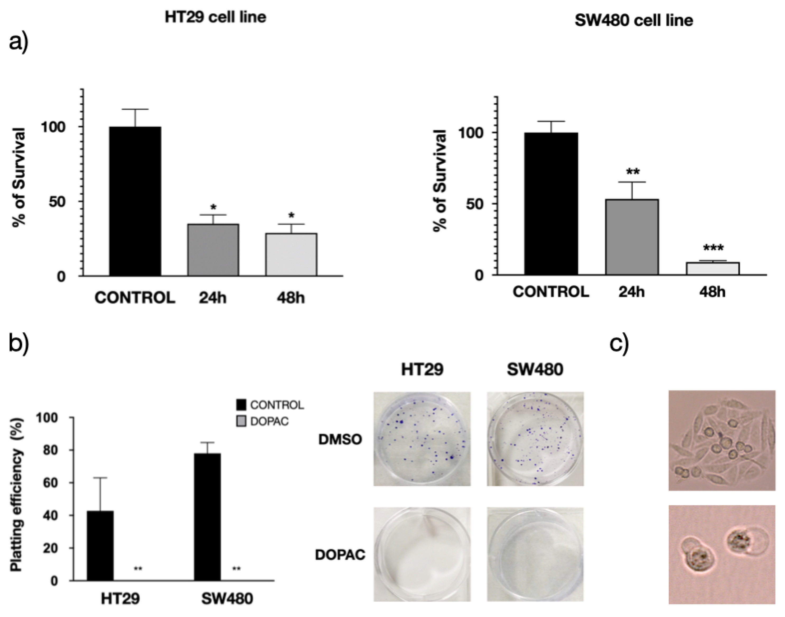 Cancers 13 01350 g010