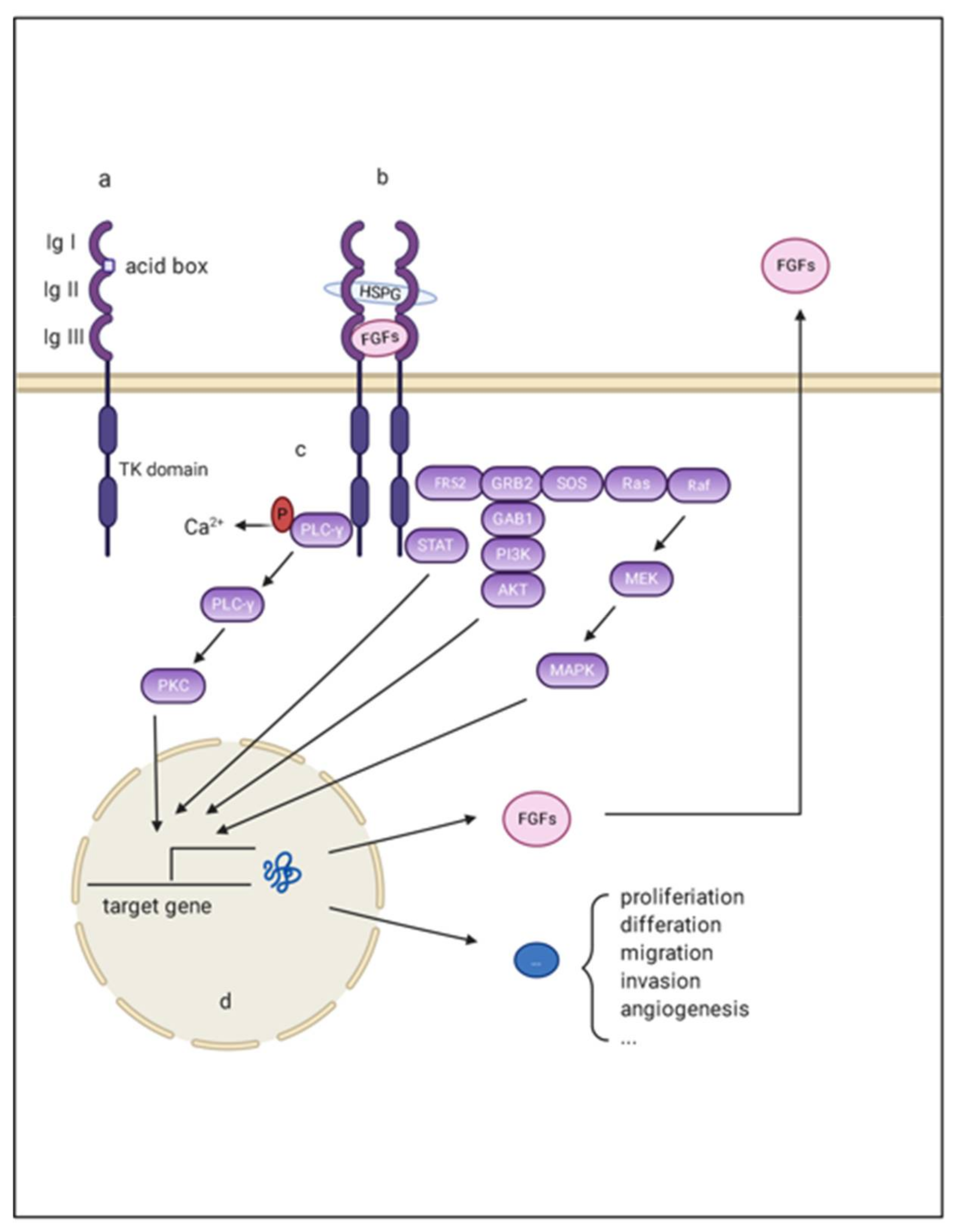 Cancers 13 01360 g001