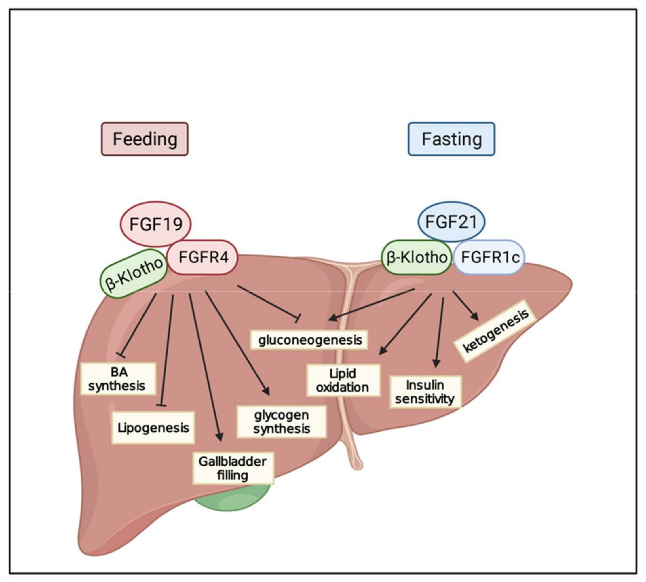 Cancers 13 01360 g002