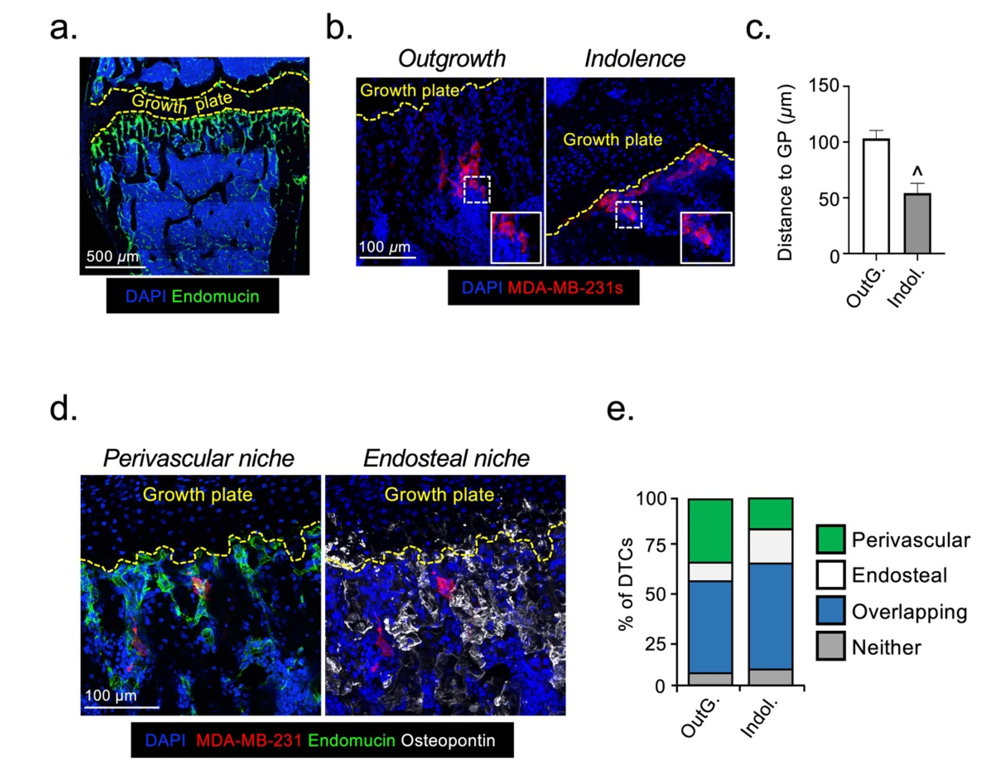 Cancers 13 01366 g001 Cancers 13 01366 g001
