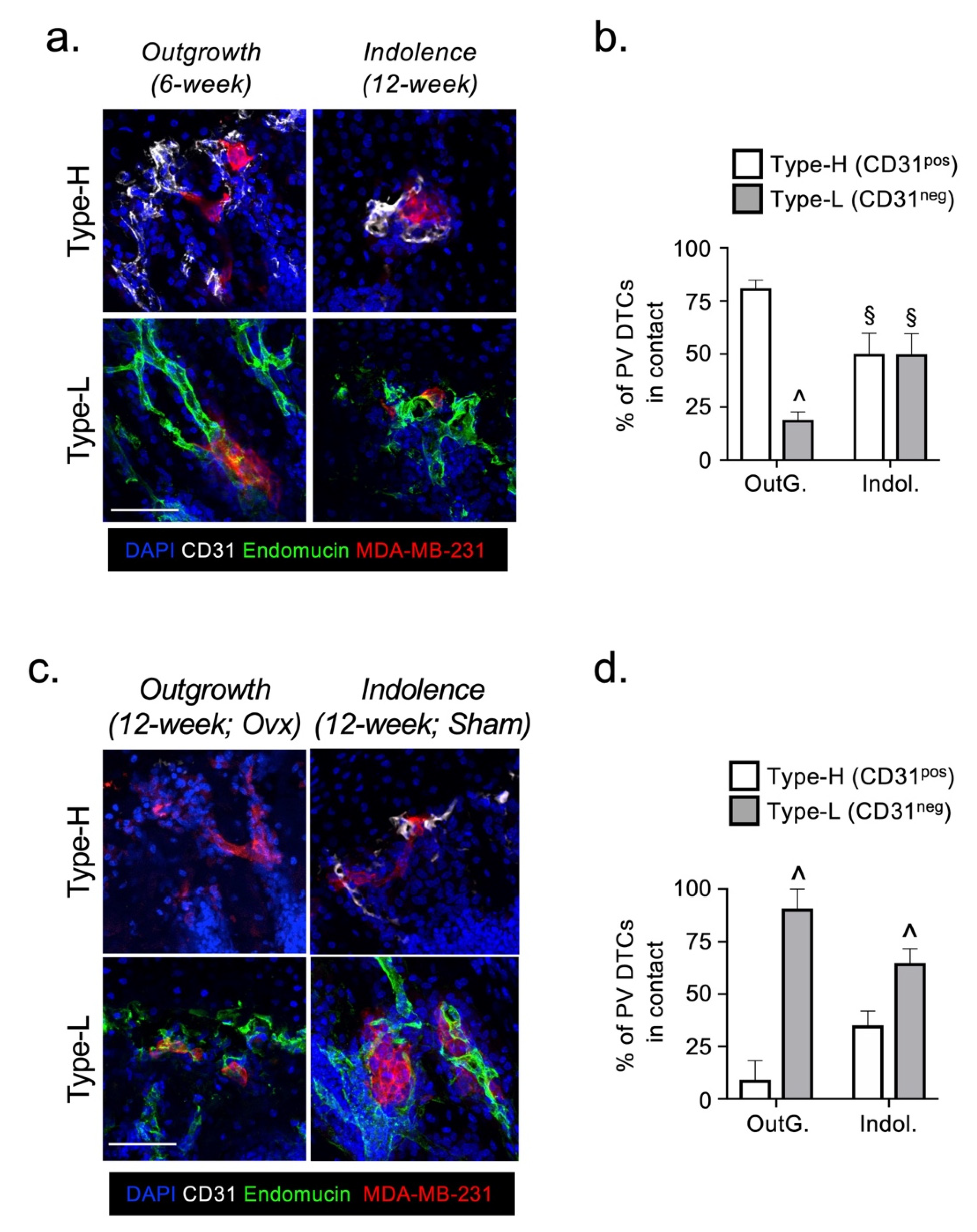 Cancers 13 01366 g002 Cancers 13 01366 g002