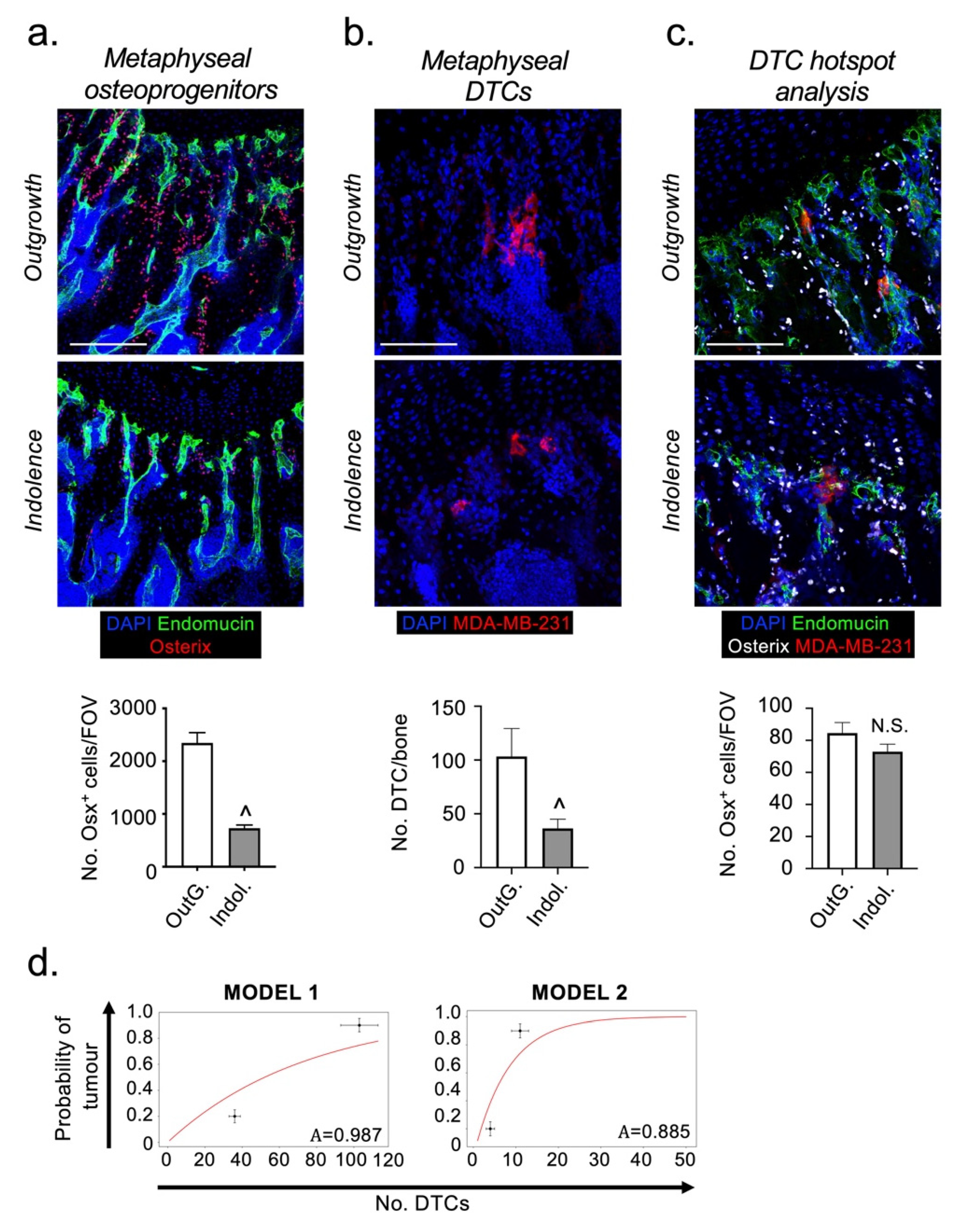 Cancers 13 01366 g003 Cancers 13 01366 g003