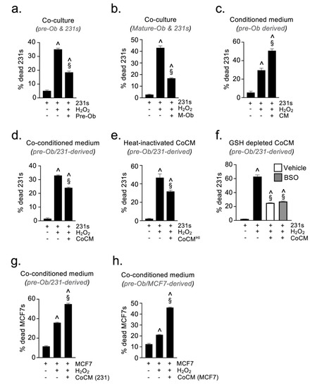 Cancers | Free Full-Text | Osteoblast-Derived Paracrine and