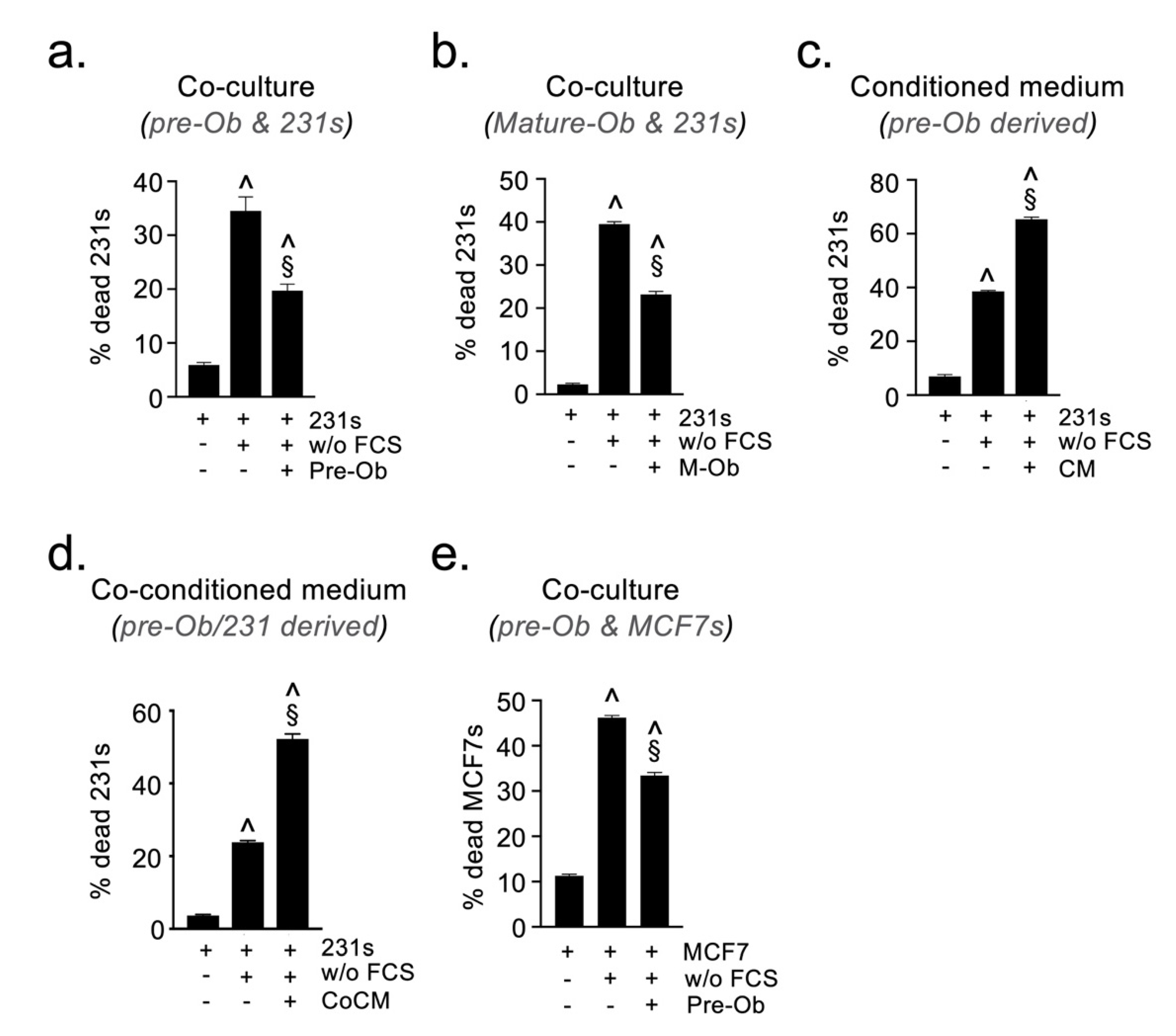 Cancers 13 01366 g005 Cancers 13 01366 g005