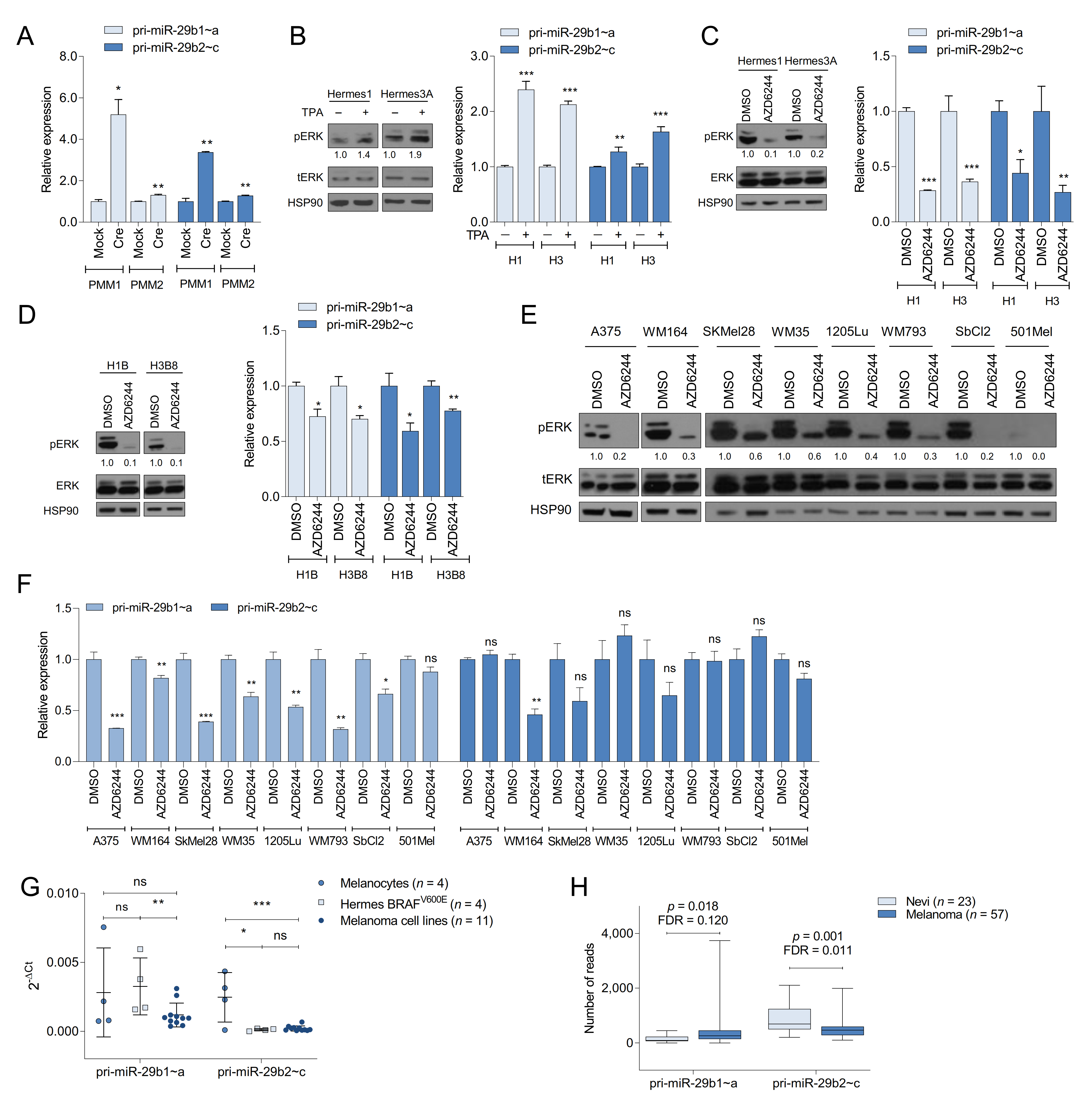 Cancers 13 01408 g001
