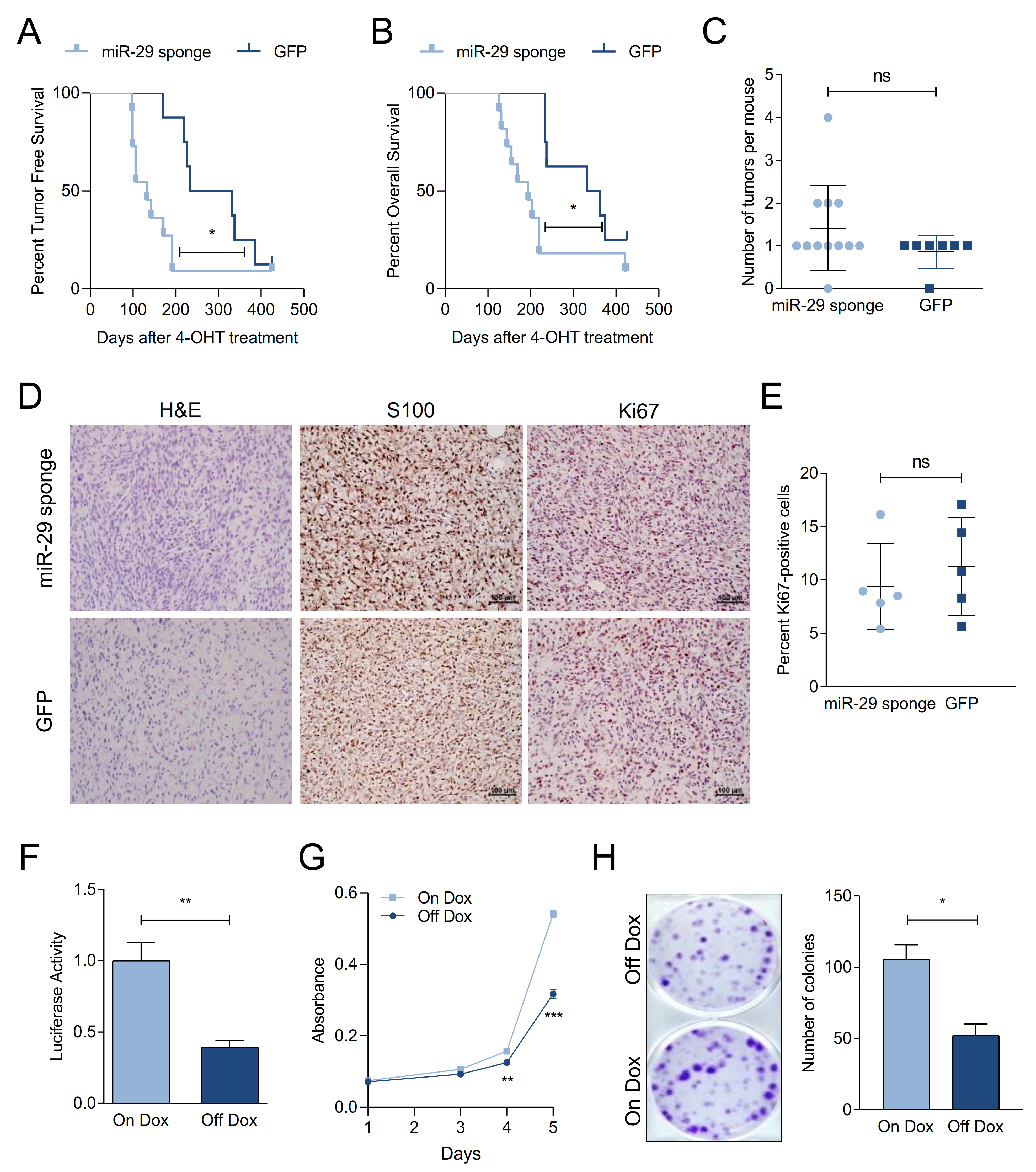Cancers 13 01408 g002