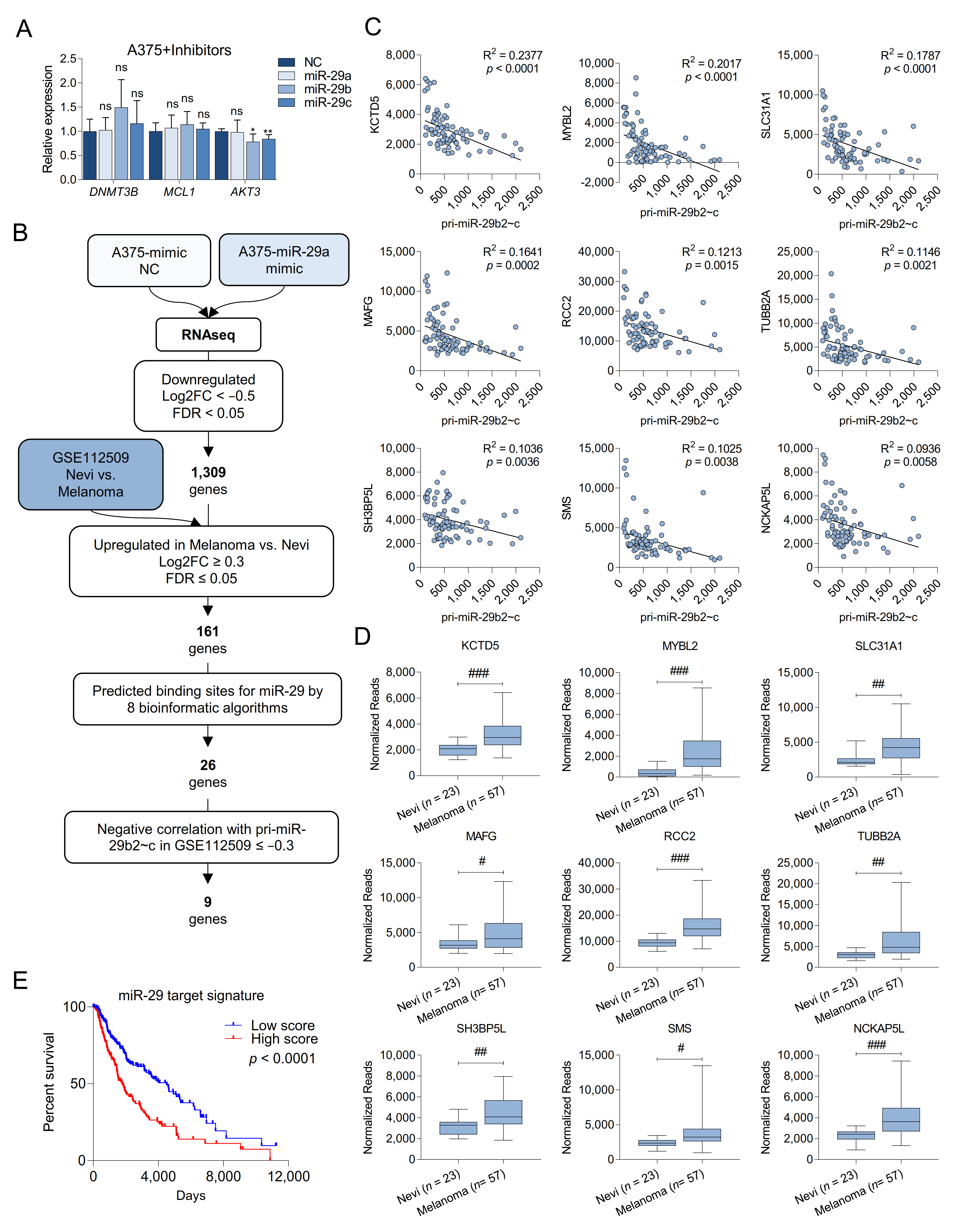 Cancers 13 01408 g003