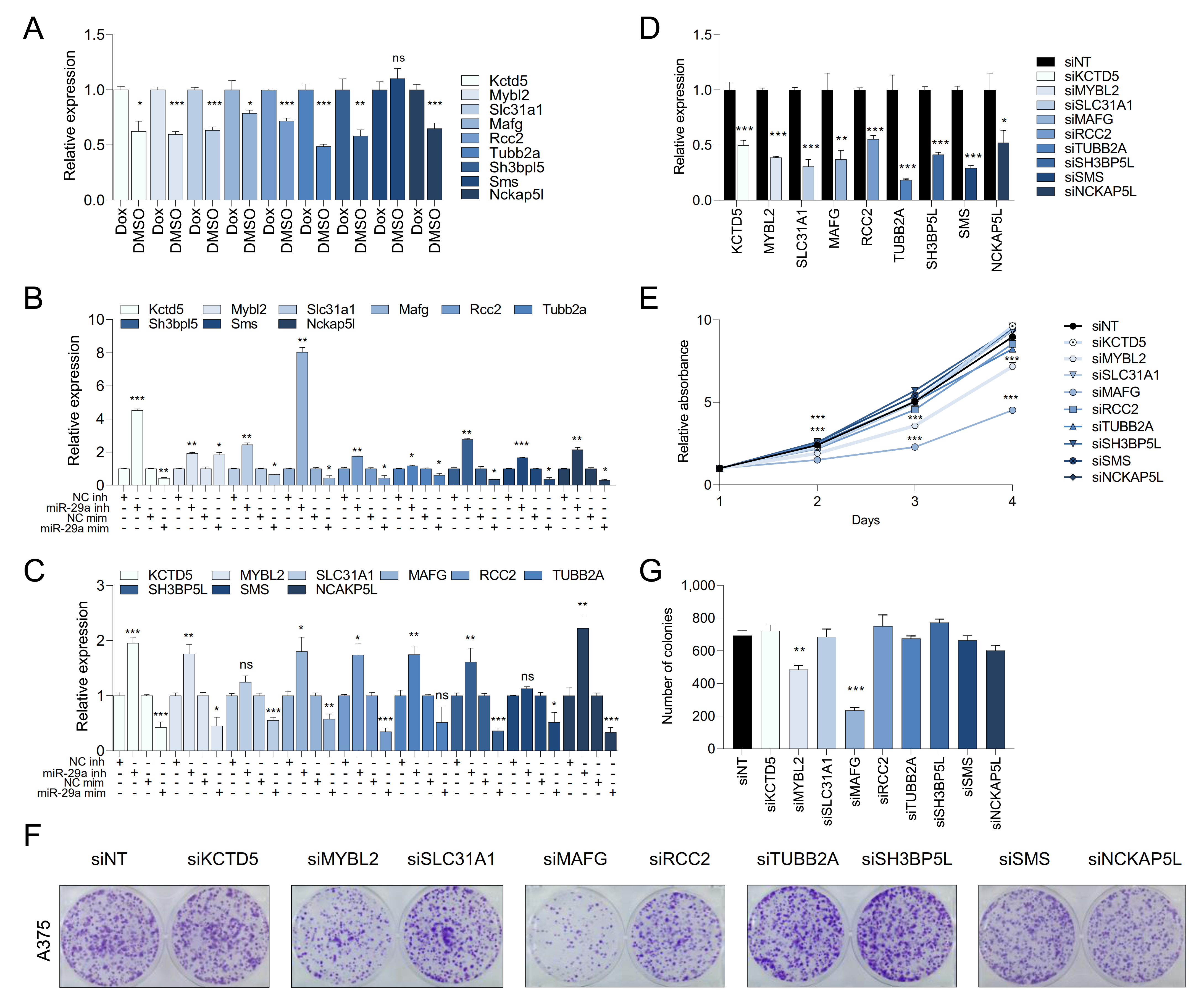 Cancers 13 01408 g004