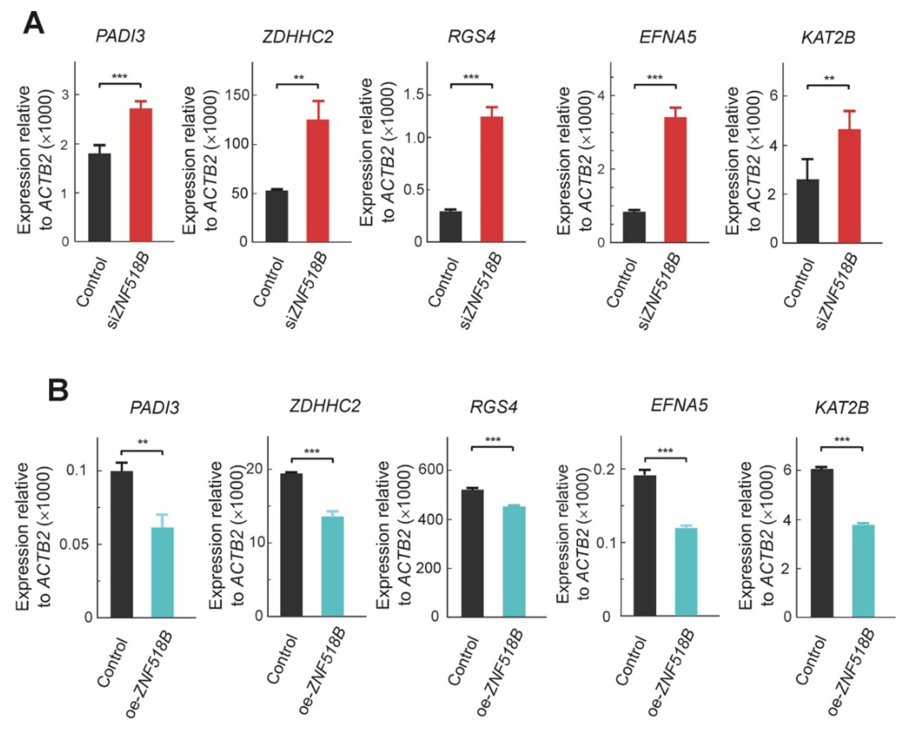 Cancers 13 01433 g005 Cancers 13 01433 g005
