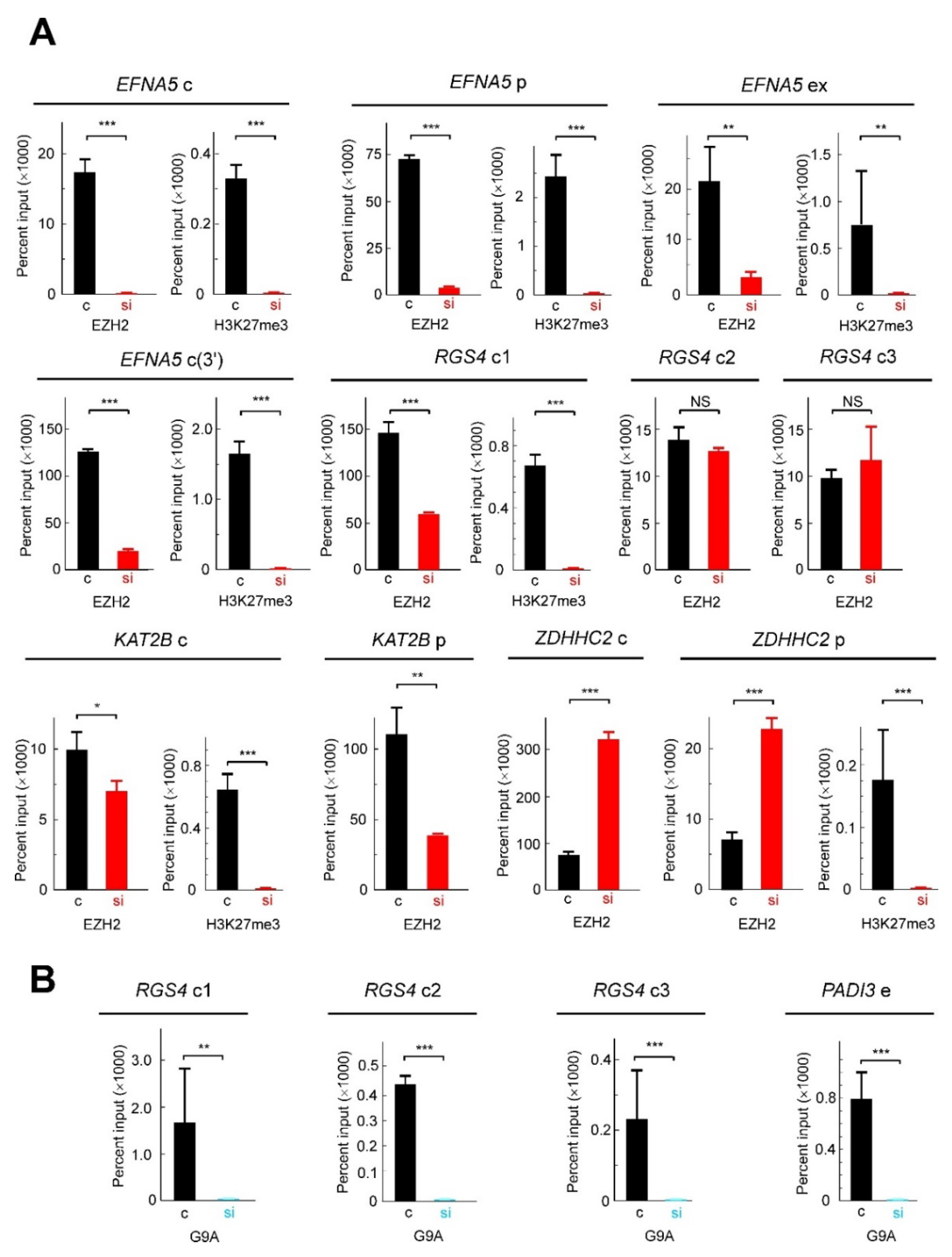 Cancers 13 01433 g007 Cancers 13 01433 g007