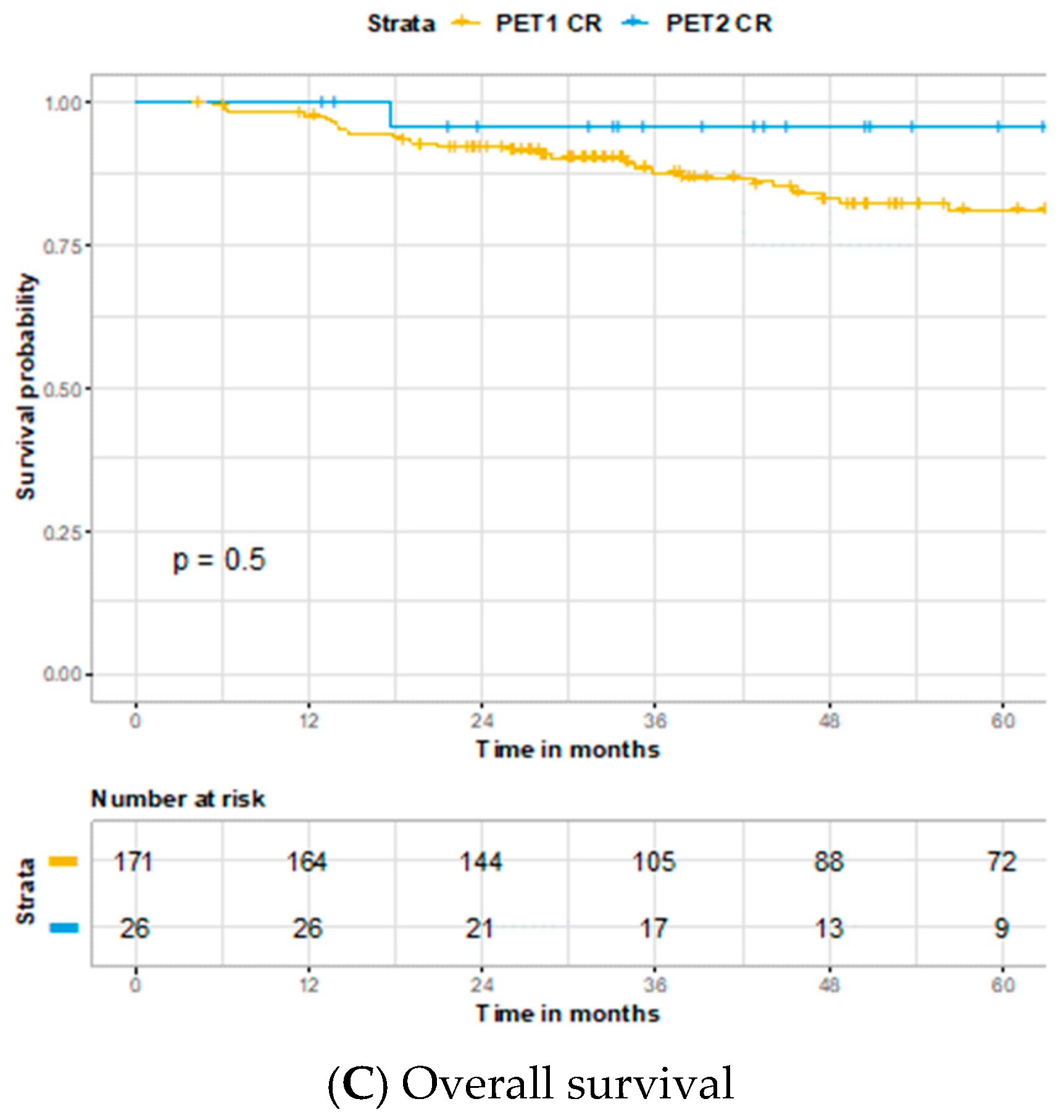 Cancers 13 01461 g005b Cancers 13 01461 g005b