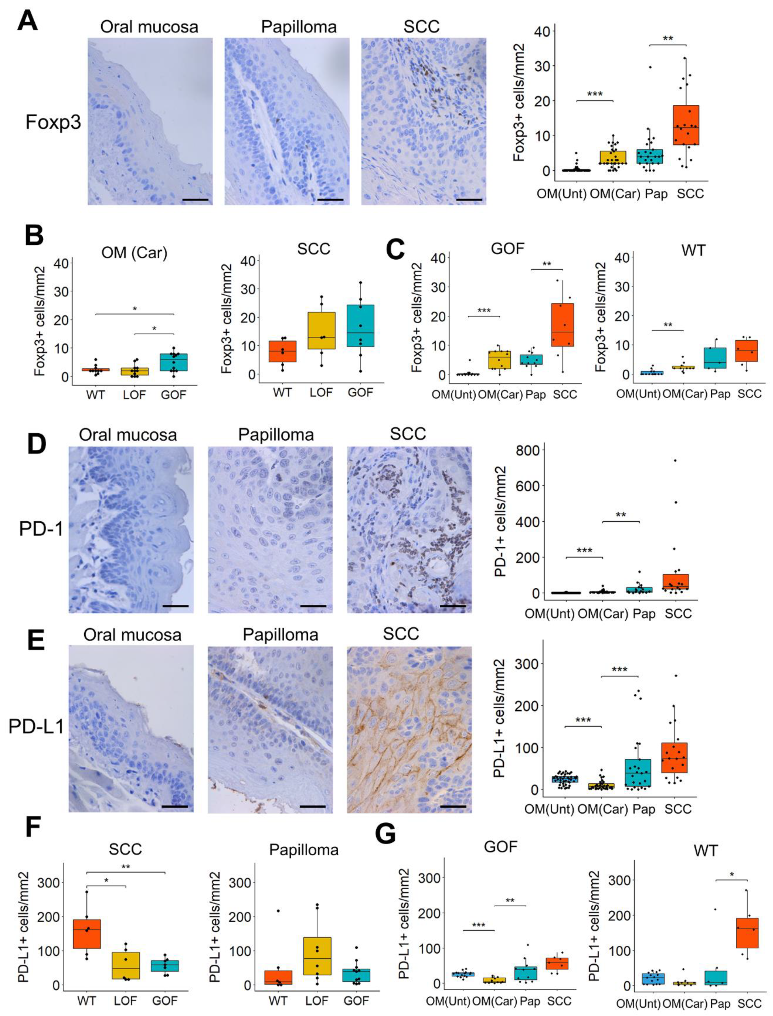 Cancers 13 01471 g003