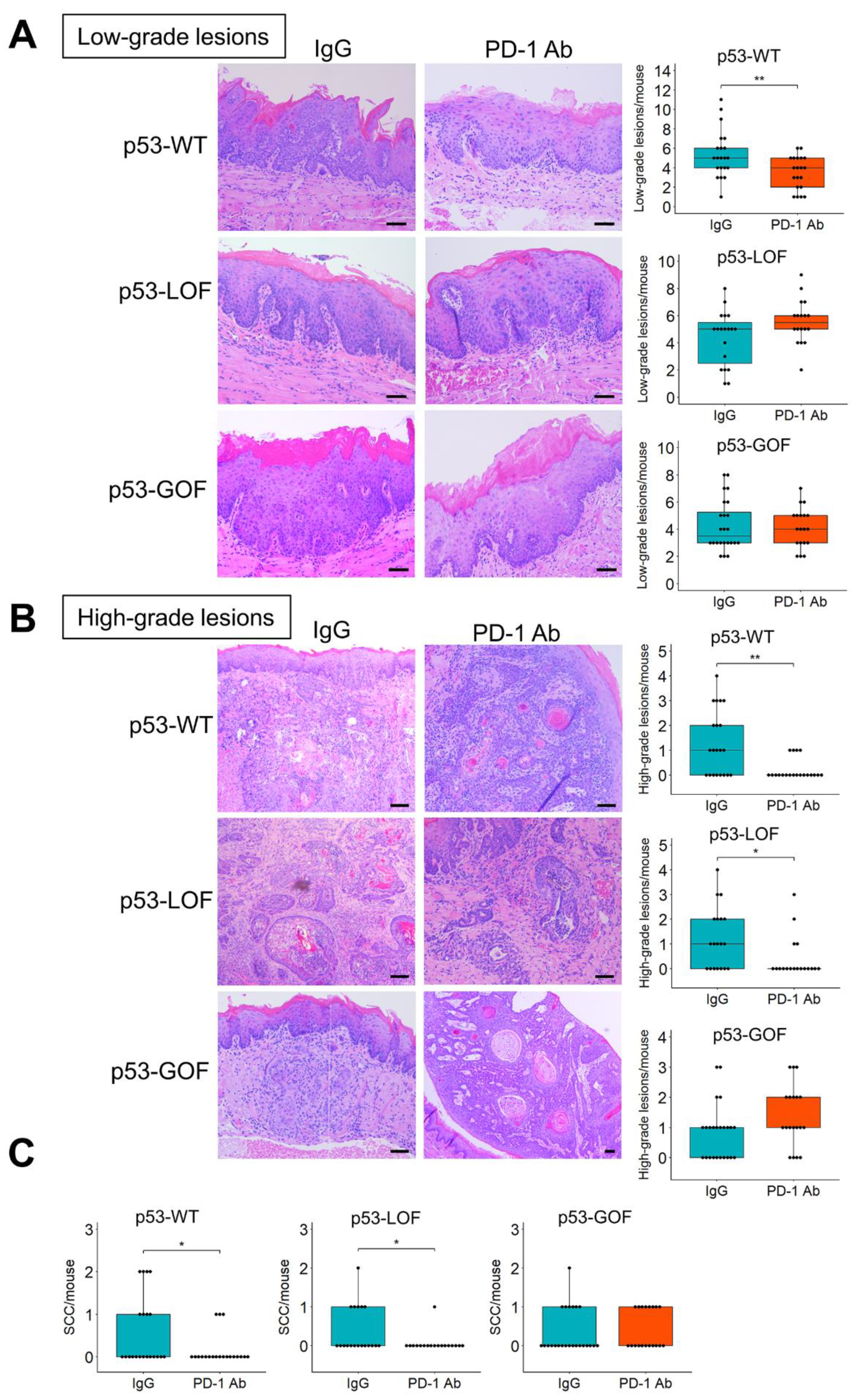 Cancers 13 01471 g005