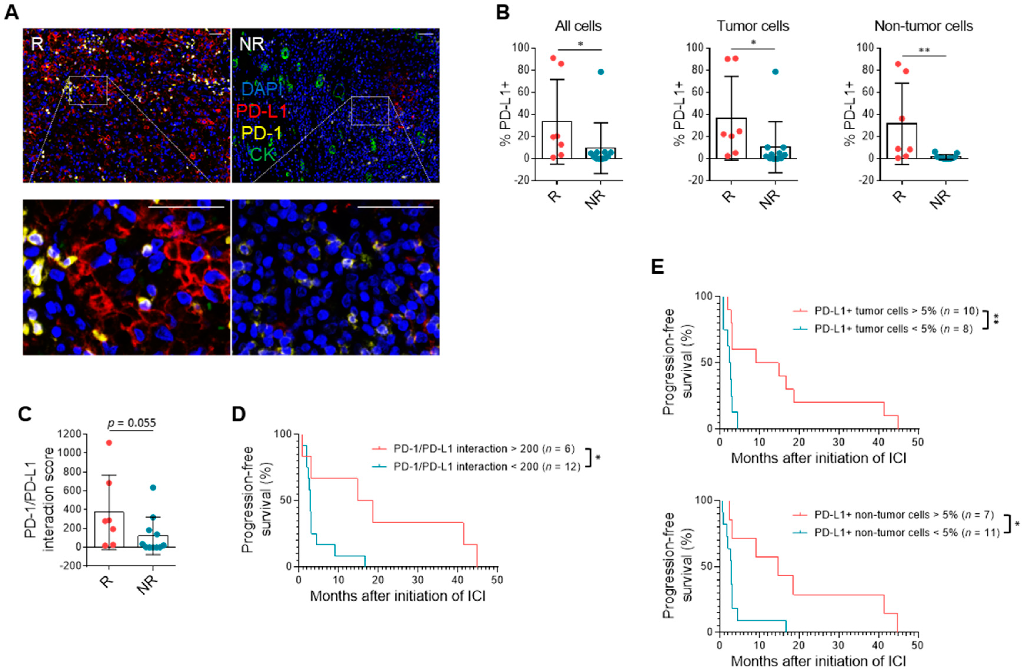 Cancers 13 01475 g002