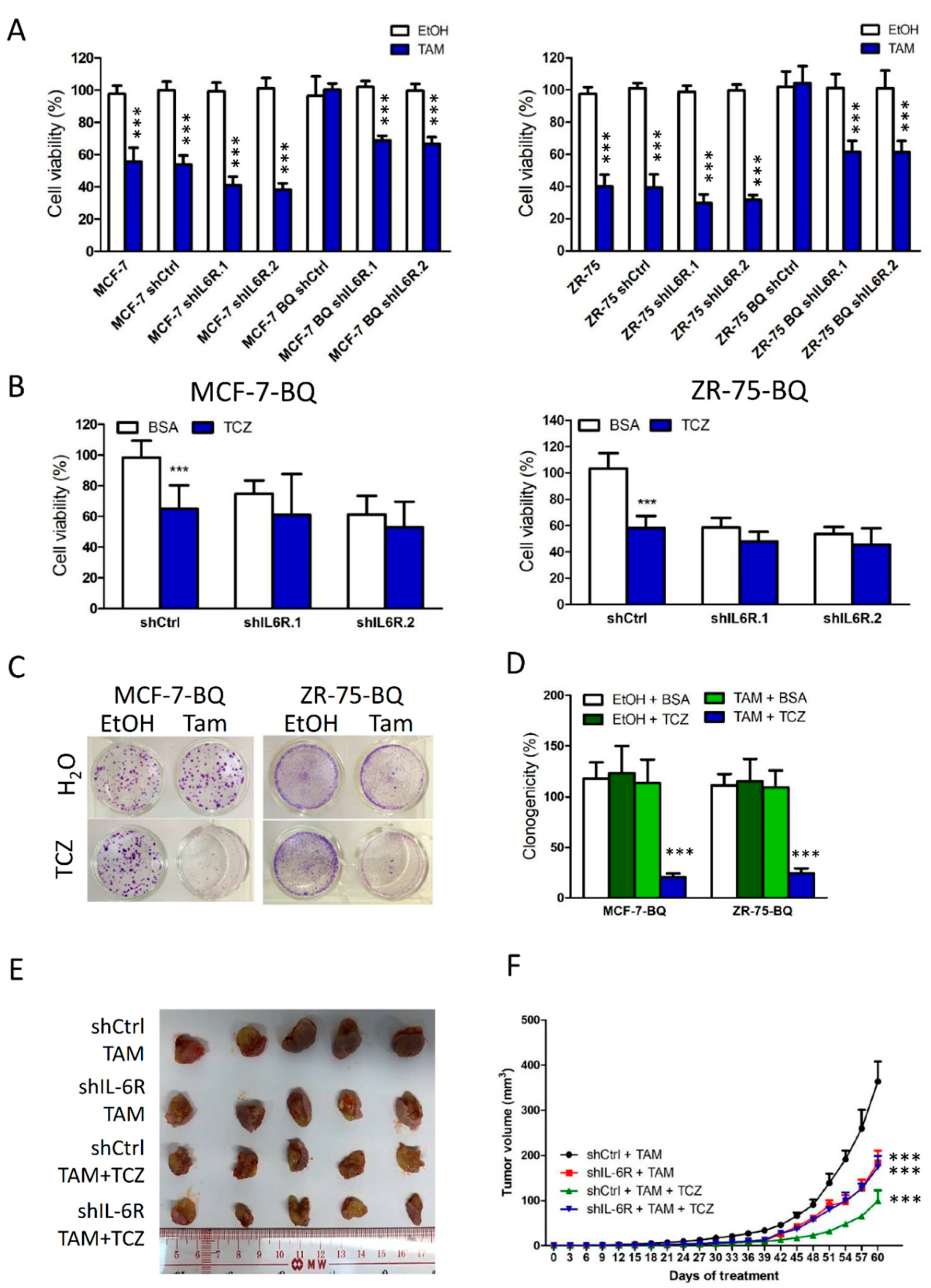 Cancers 13 01511 g005