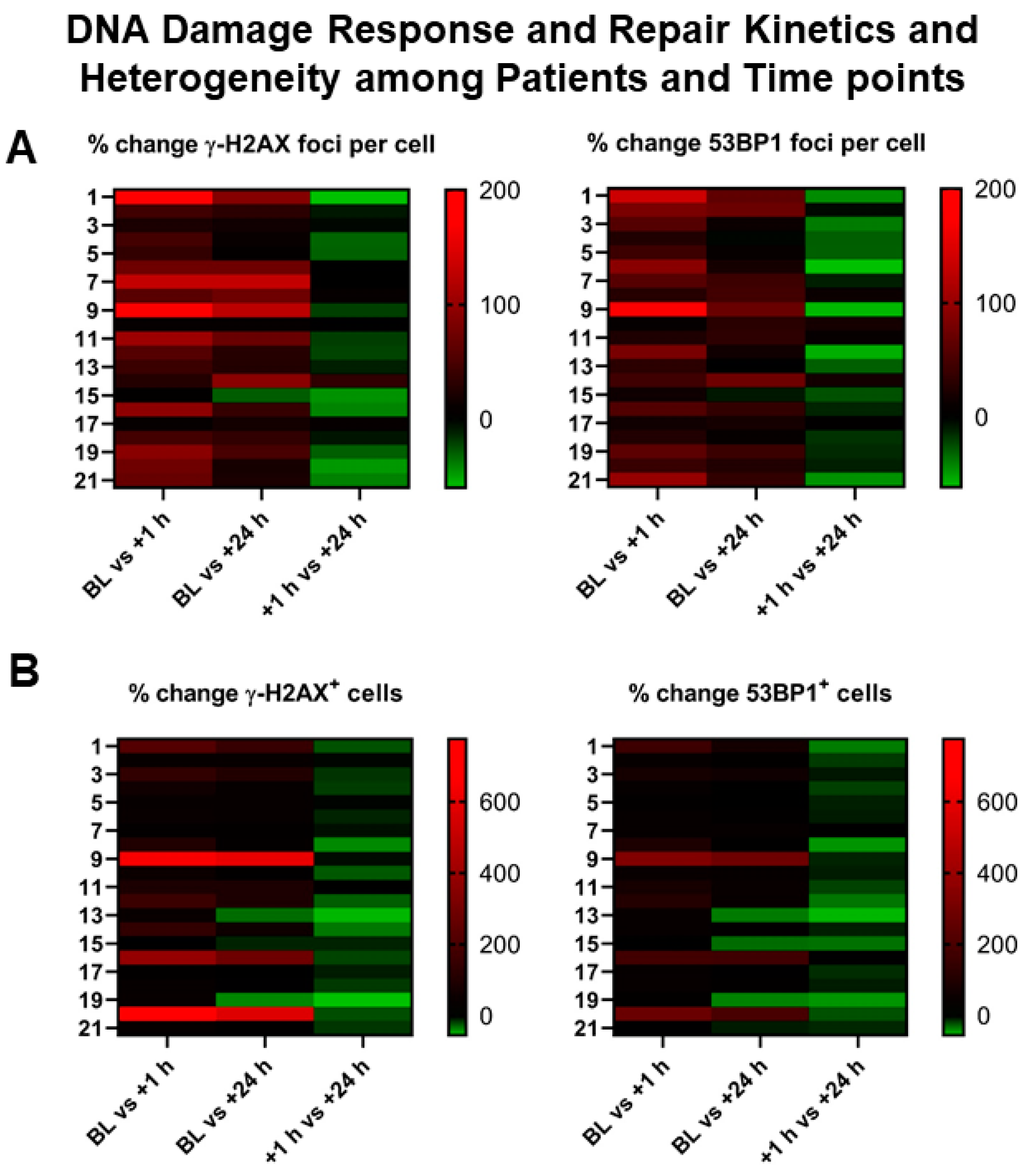 Cancers | Free Full-Text | Assessment of γ-H2AX and 53BP1 Foci in  Peripheral Blood Lymphocytes to Predict Subclinical Hematotoxicity and  Response in Somatostatin Receptor-Targeted Radionuclide Therapy for  Advanced Gastroenteropancreatic Neuroendocrine ...