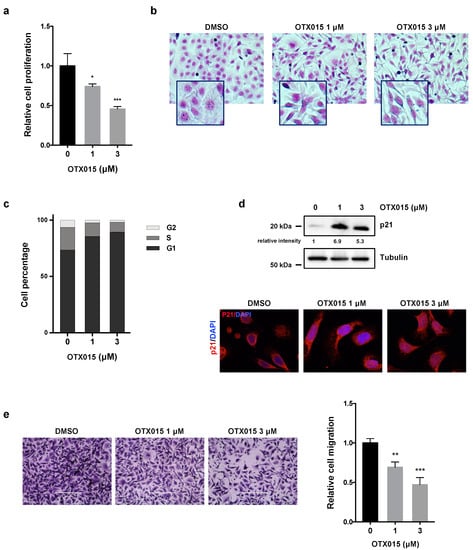 Cancers | Free Full-Text | OTX015 Epi-Drug Exerts Antitumor Effects in ...