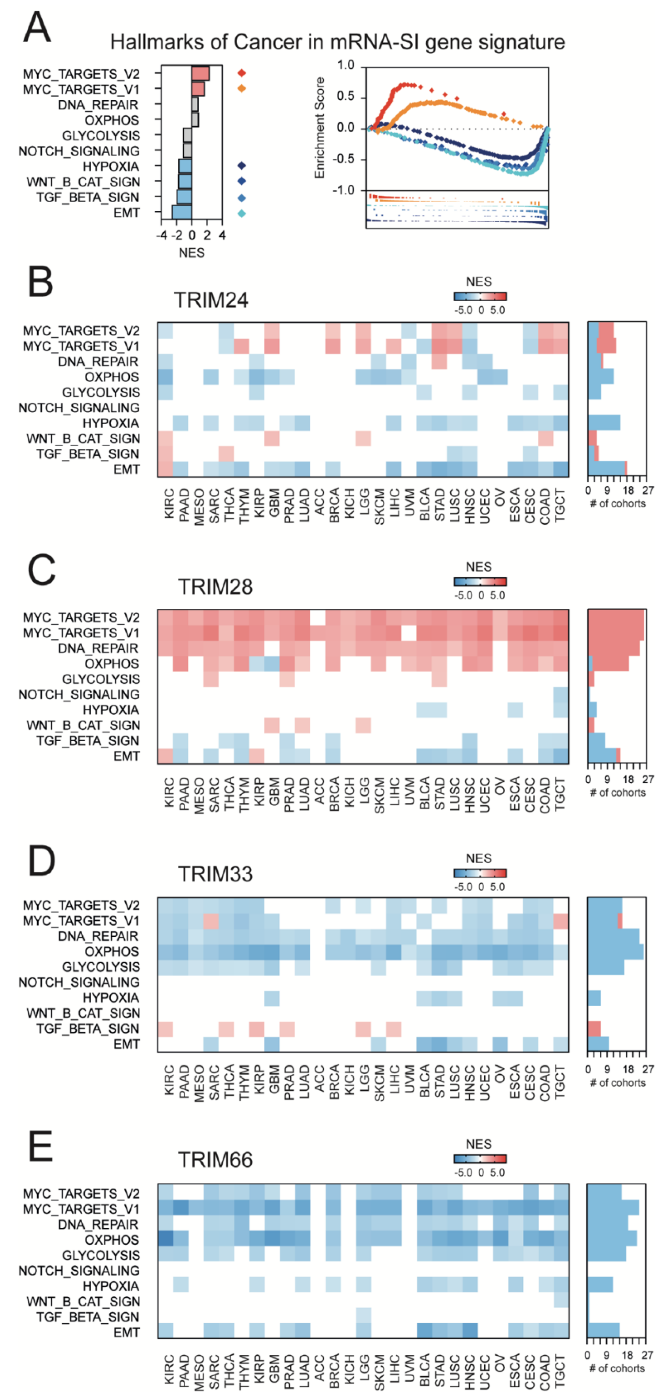 Cancers 13 01528 g004 Cancers 13 01528 g004