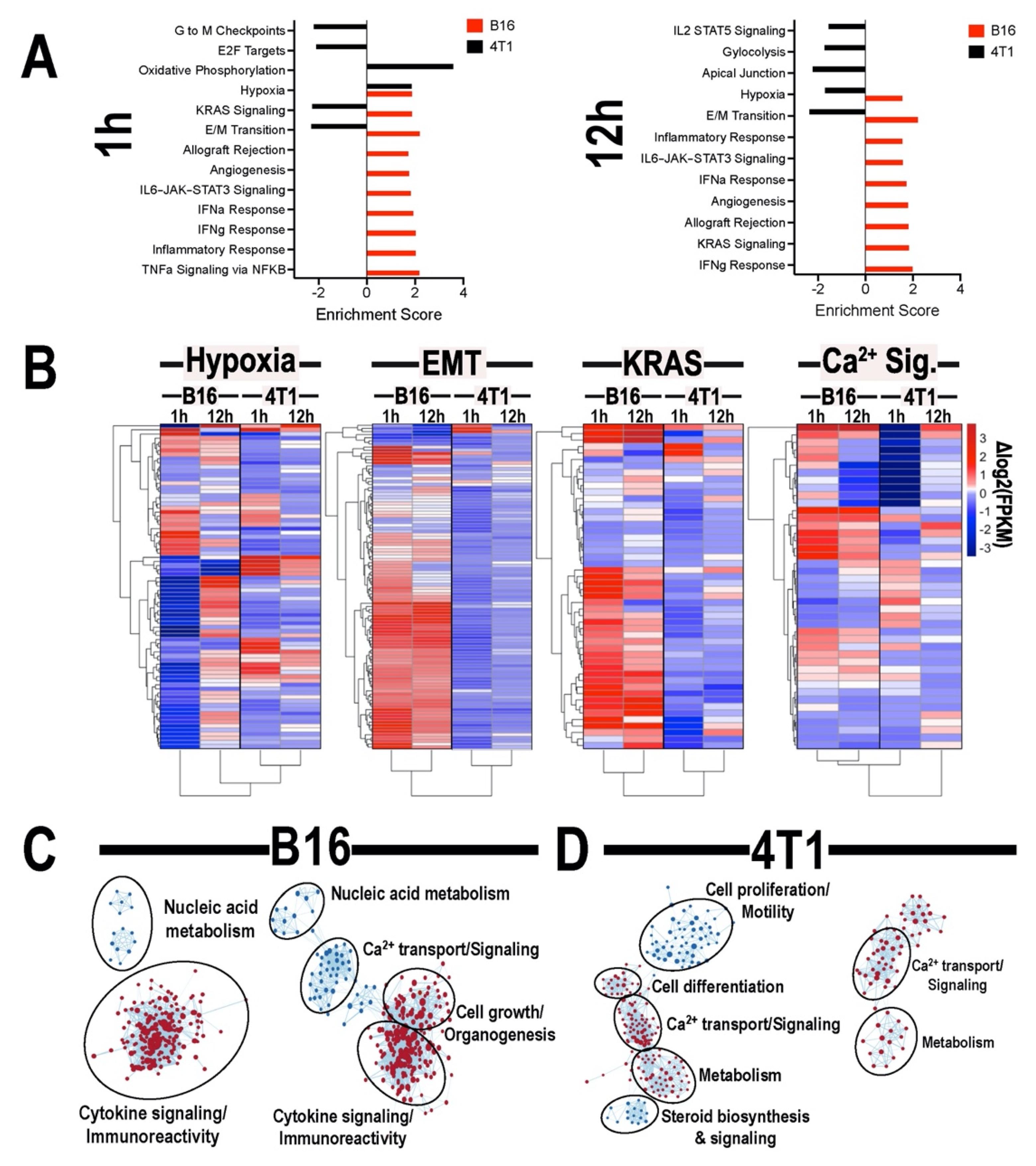 Cancers 13 01546 g005