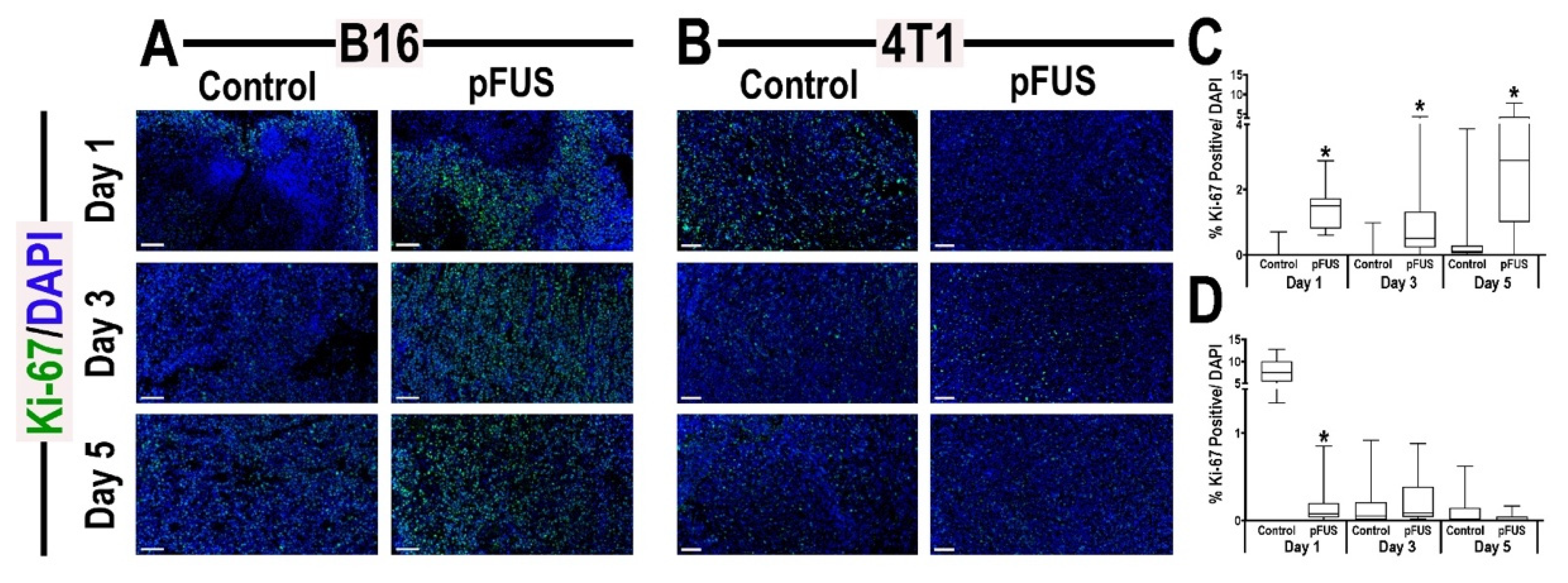 Cancers 13 01546 g006