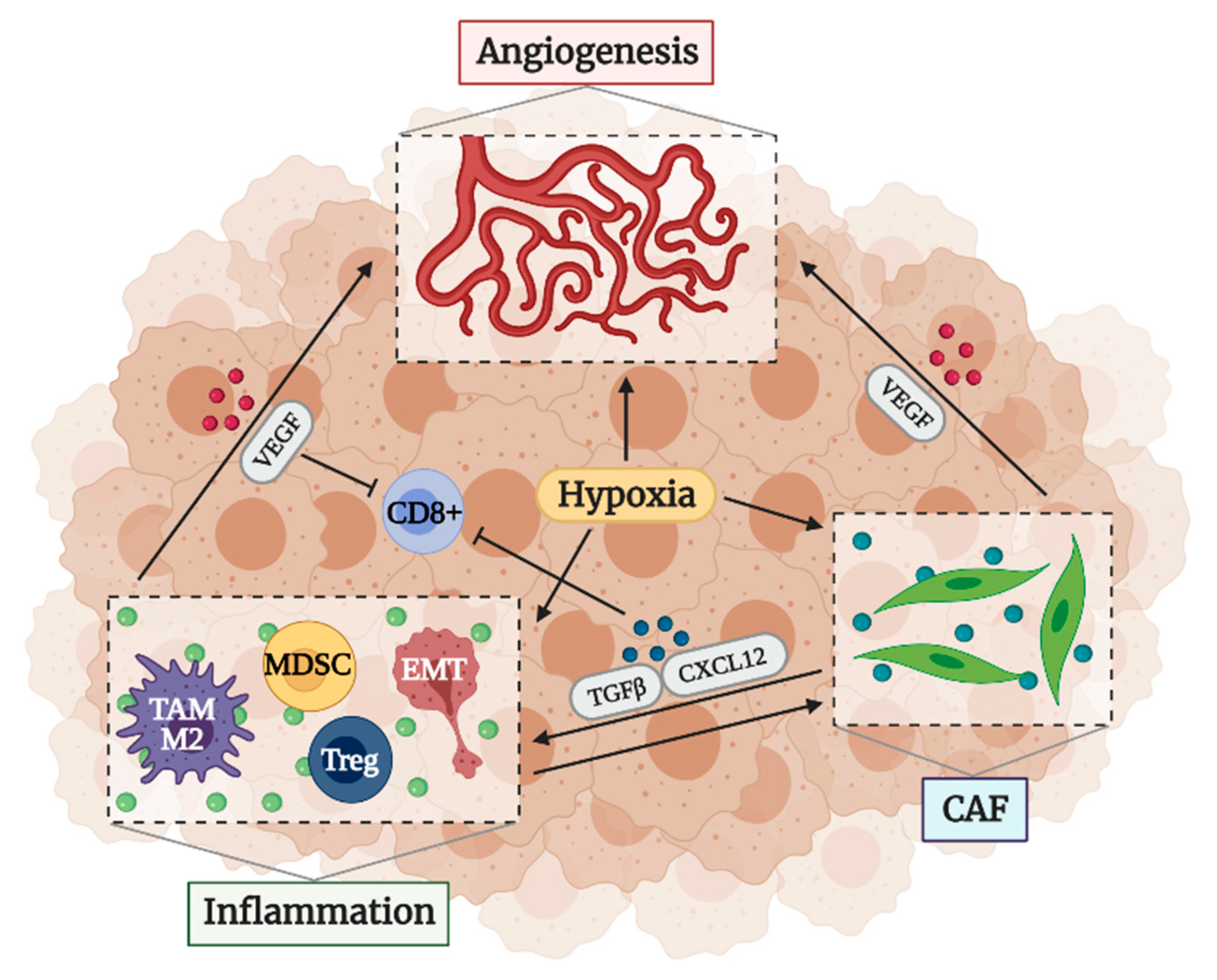 Cancers 13 01552 g002