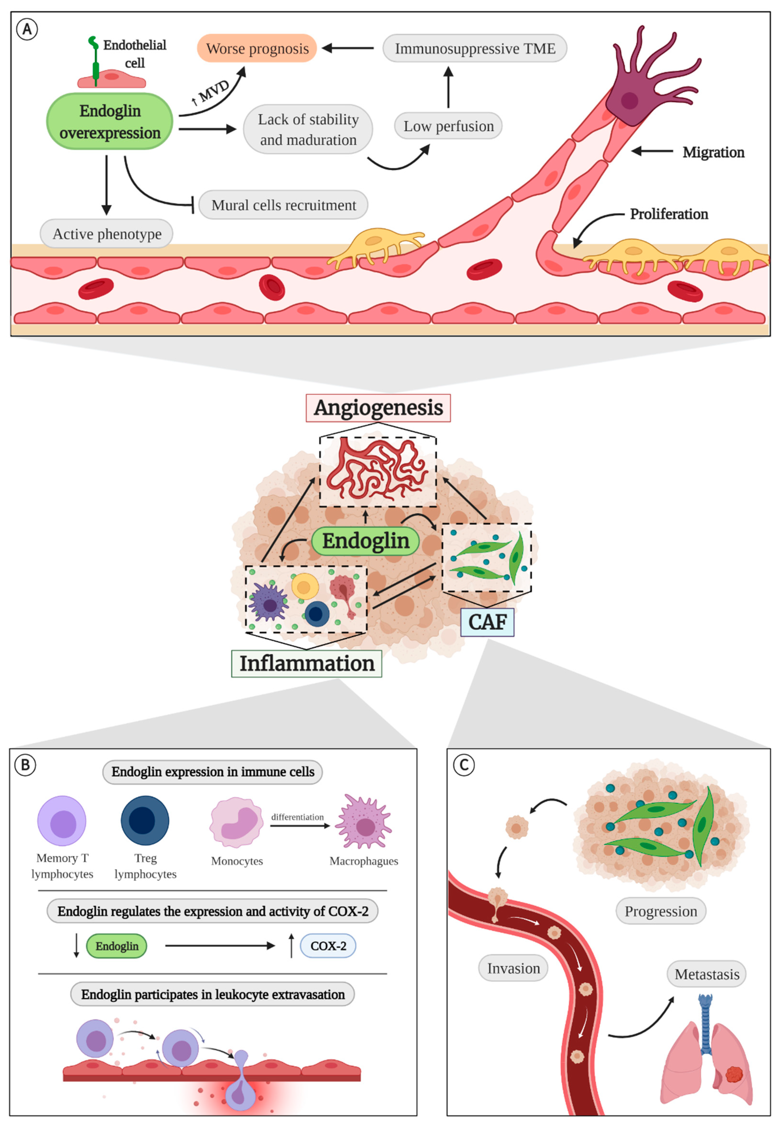Cancers 13 01552 g004