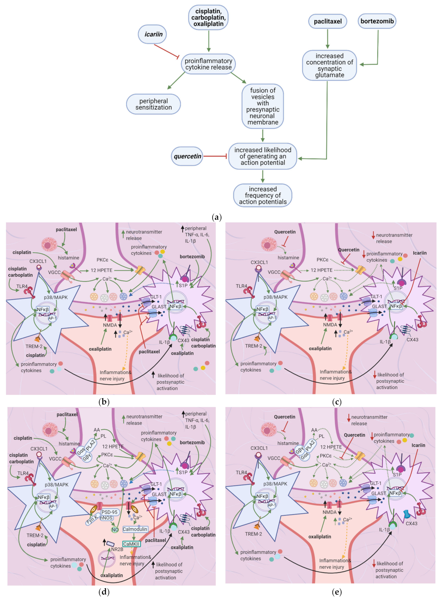 Cancers 13 01576 g005 Cancers 13 01576 g005