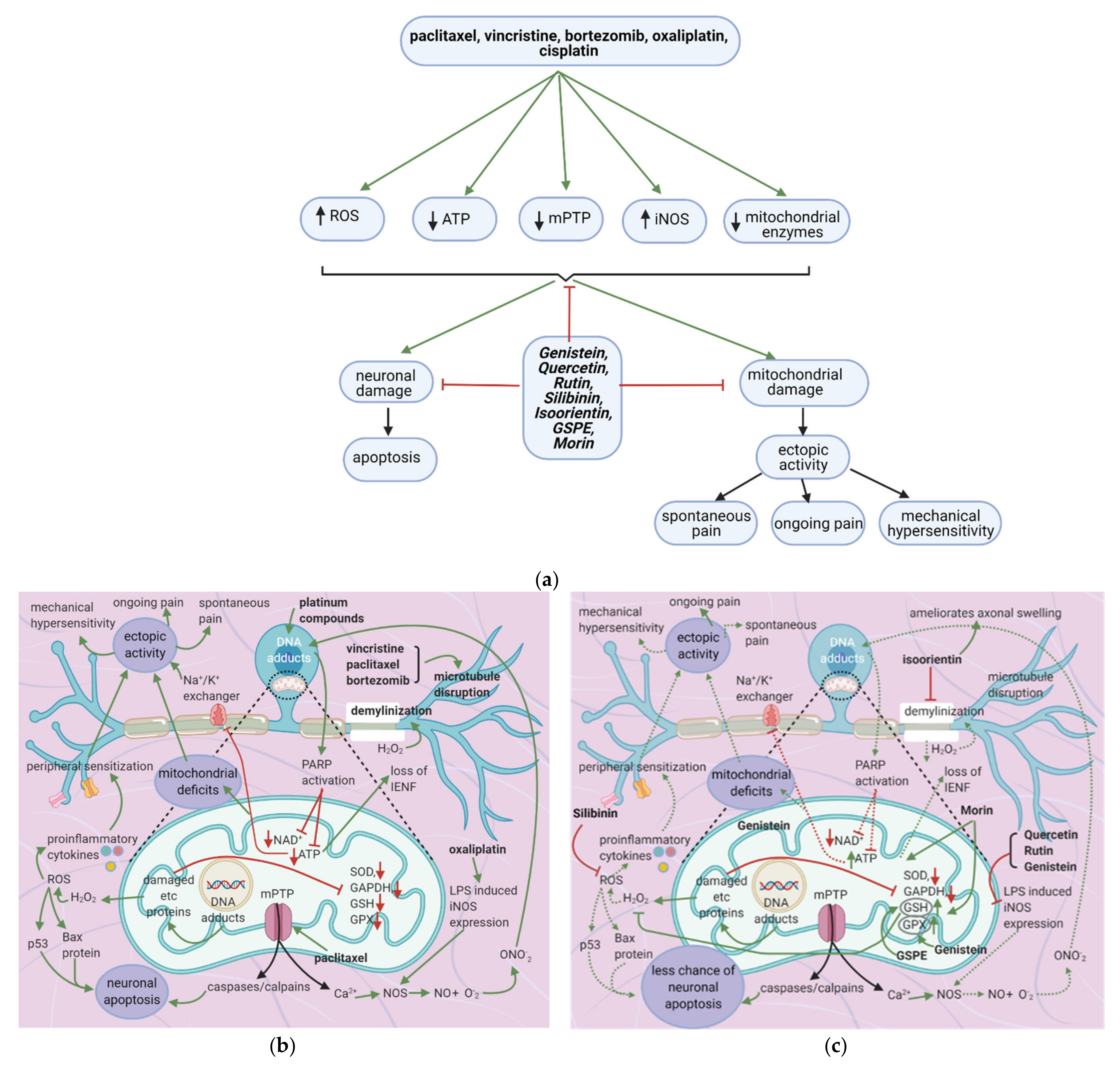 Cancers 13 01576 g007 Cancers 13 01576 g007