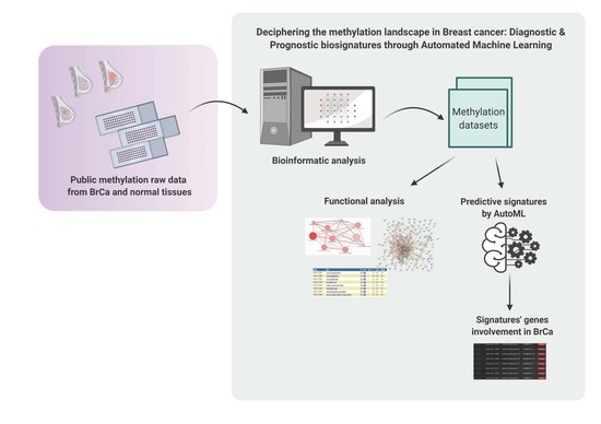Cancers | Free Full-Text | Deciphering the Methylation Landscape in Breast  Cancer: Diagnostic and Prognostic Biosignatures through Automated Machine  Learning | HTML