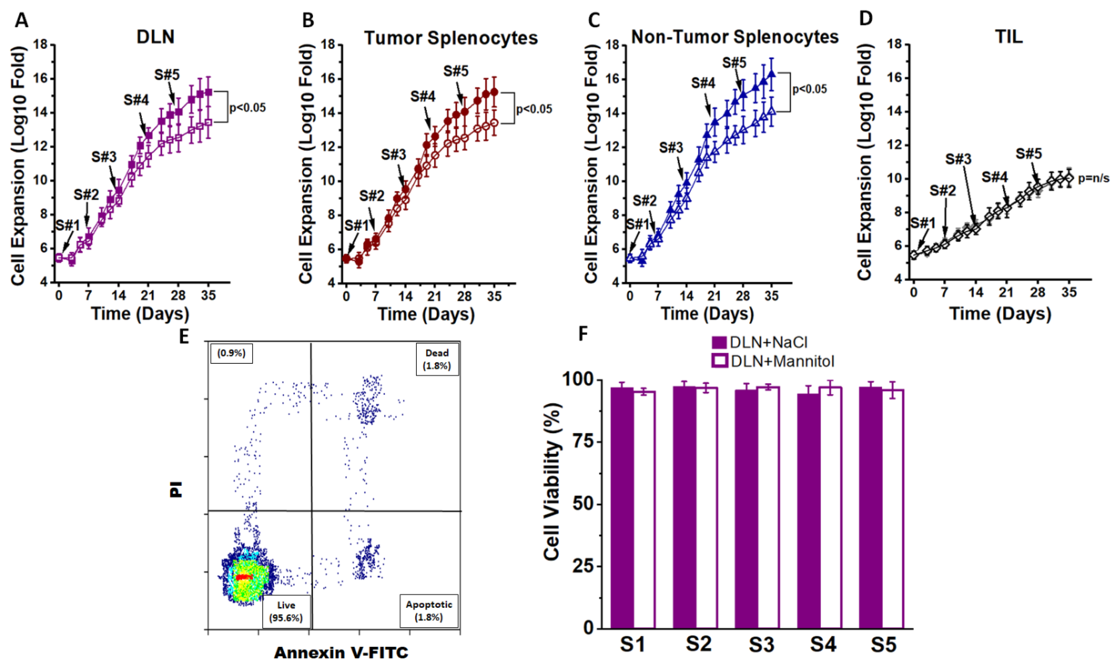 Cancers 13 01690 g001
