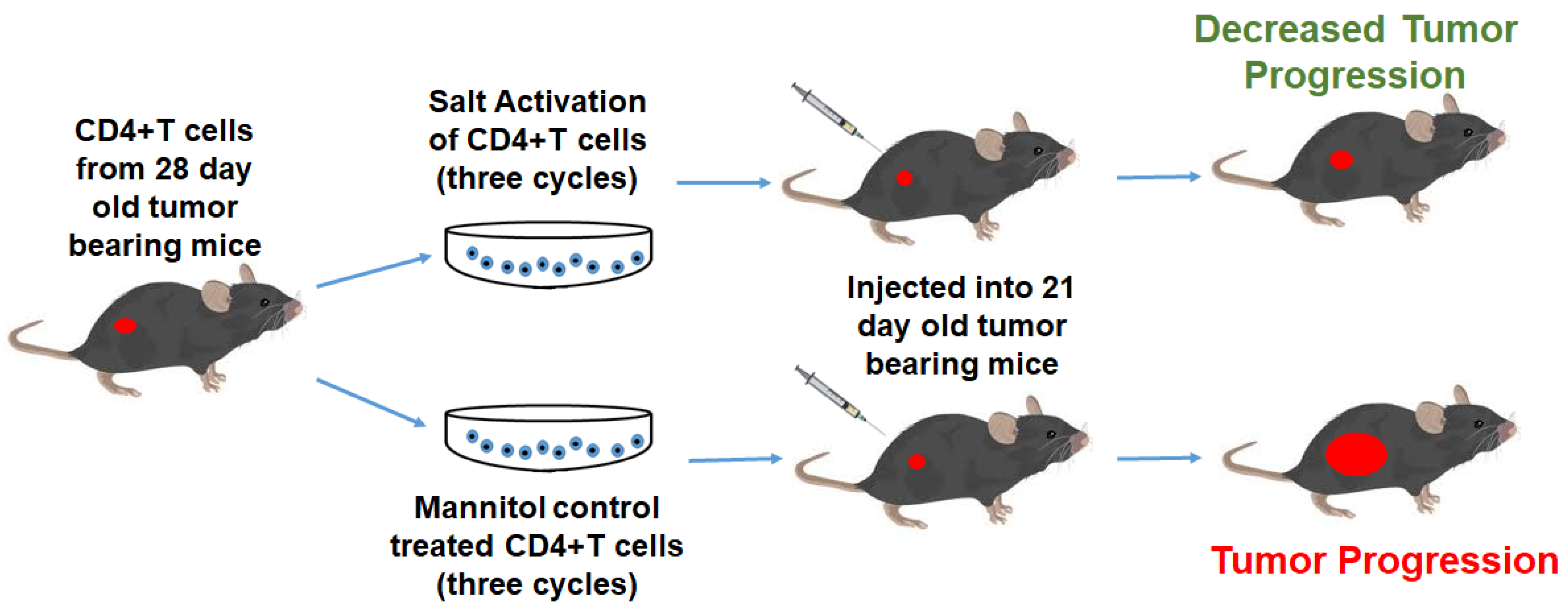 Cancers 13 01690 g009