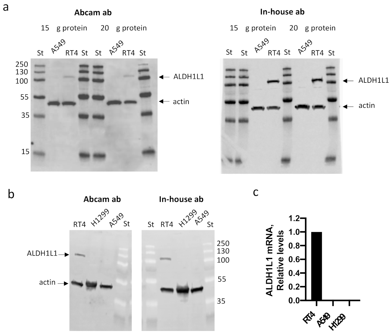 Cancers 13 01691 g001 Cancers 13 01691 g001